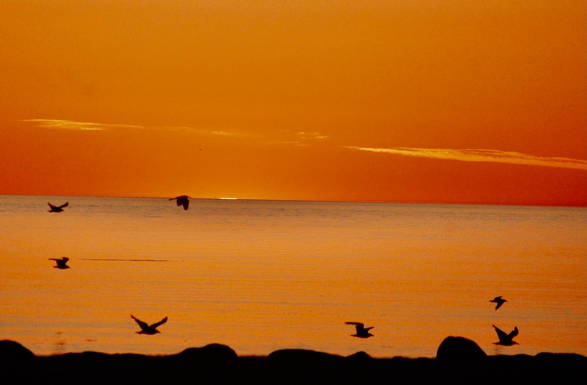Community photo by Karen Rzonca | Crabmeadow Beach Northport NY