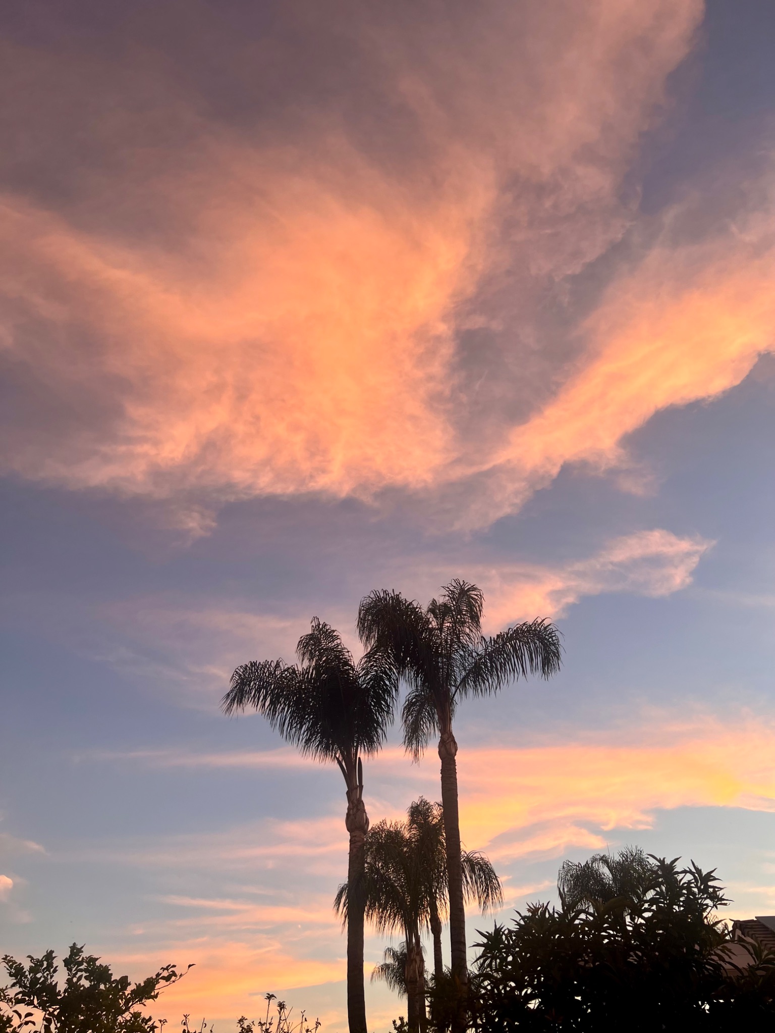 Community photo by Dolores Moreno | Highland, CA