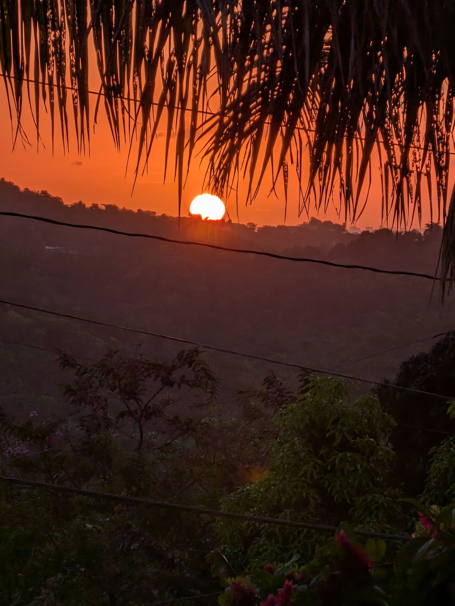Community photo by Moises Villafane | Rio Grande, Puerto Rico
