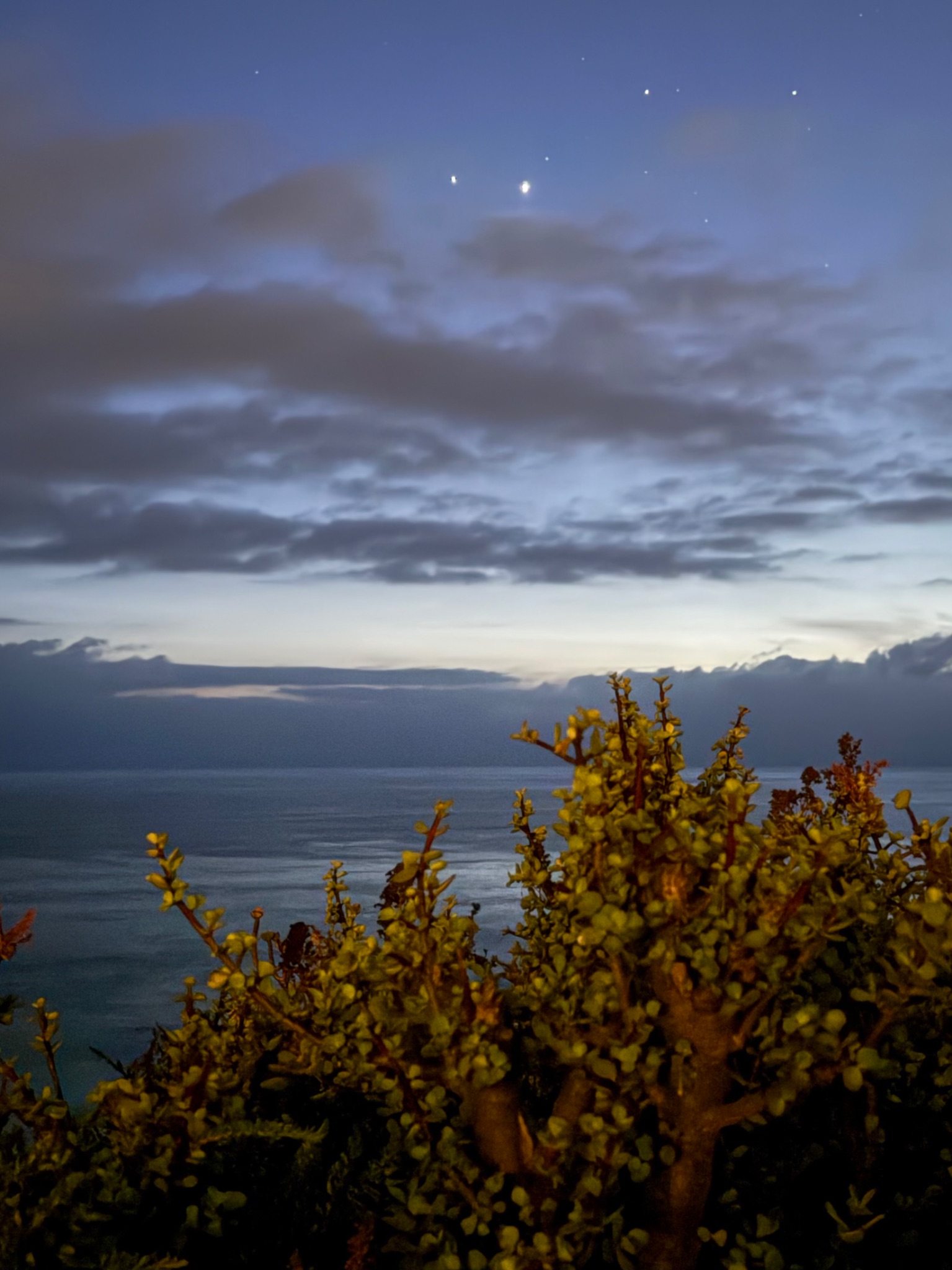 Community photo by Eileen Troberman | Encinitas, California