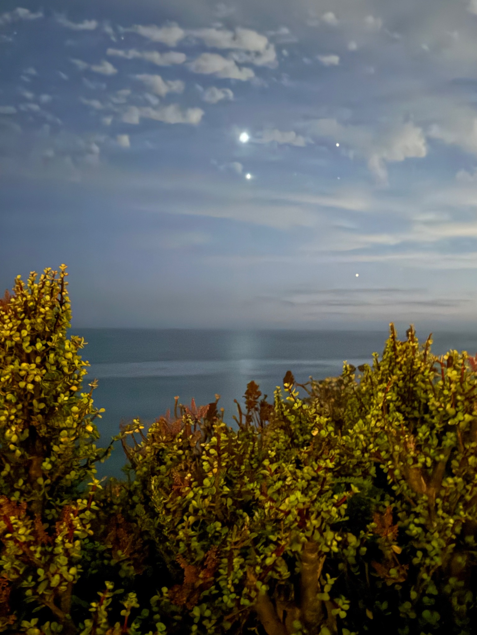 Community photo by Eileen Troberman | Encinitas, California