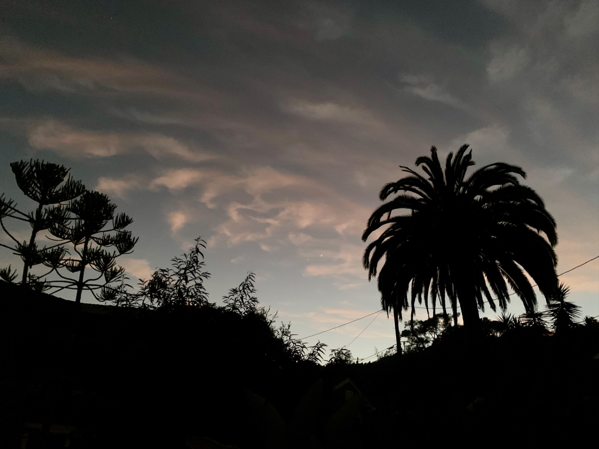 Community photo by Barbara Fabian | Santa Barbara, California USA