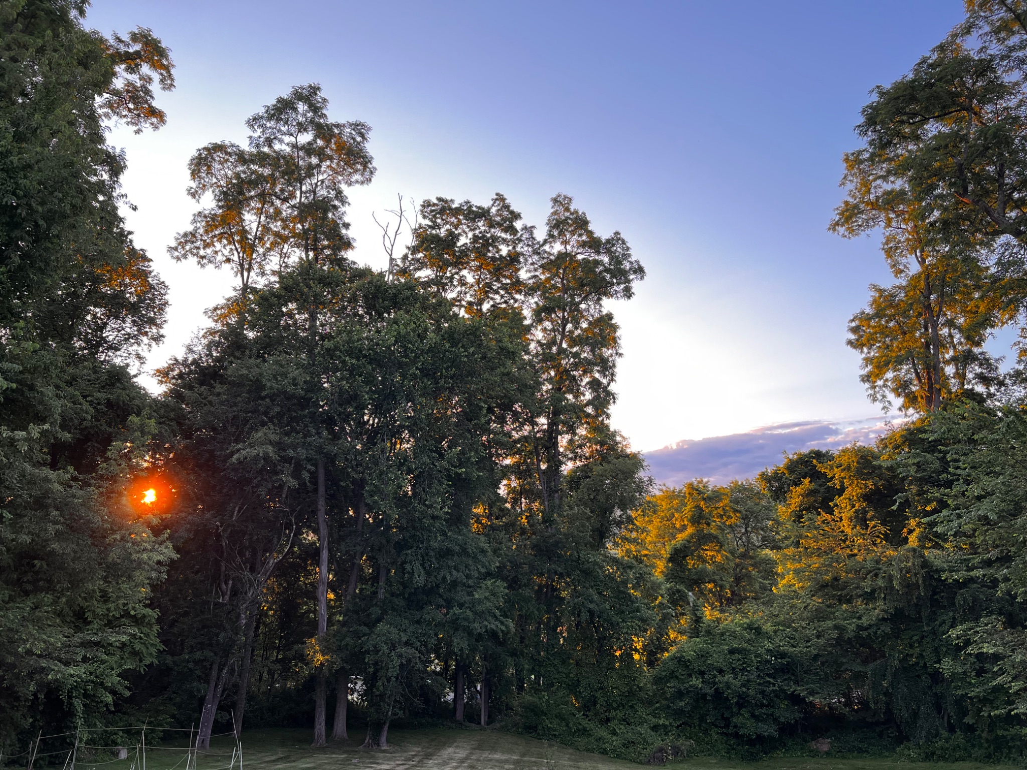 Community photo by Sudhir