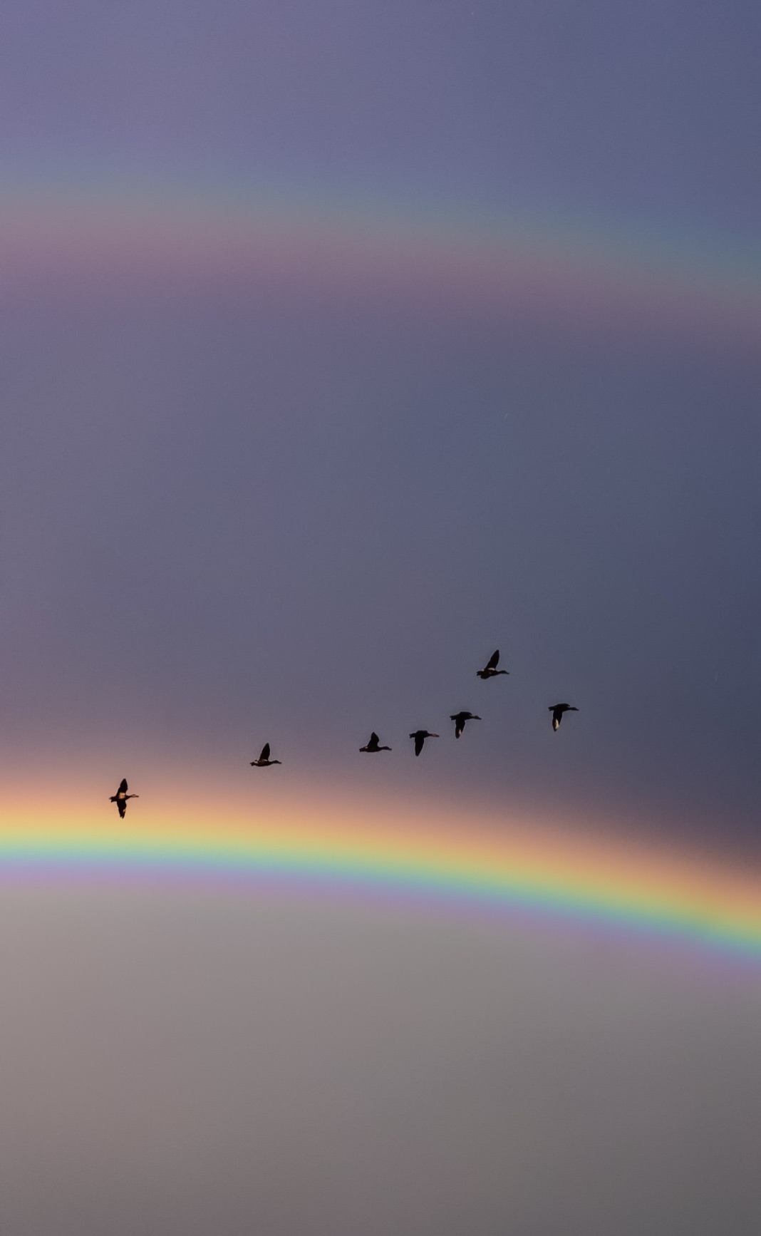 Community photo by Karl Diefenderfer | Quakertown Pa