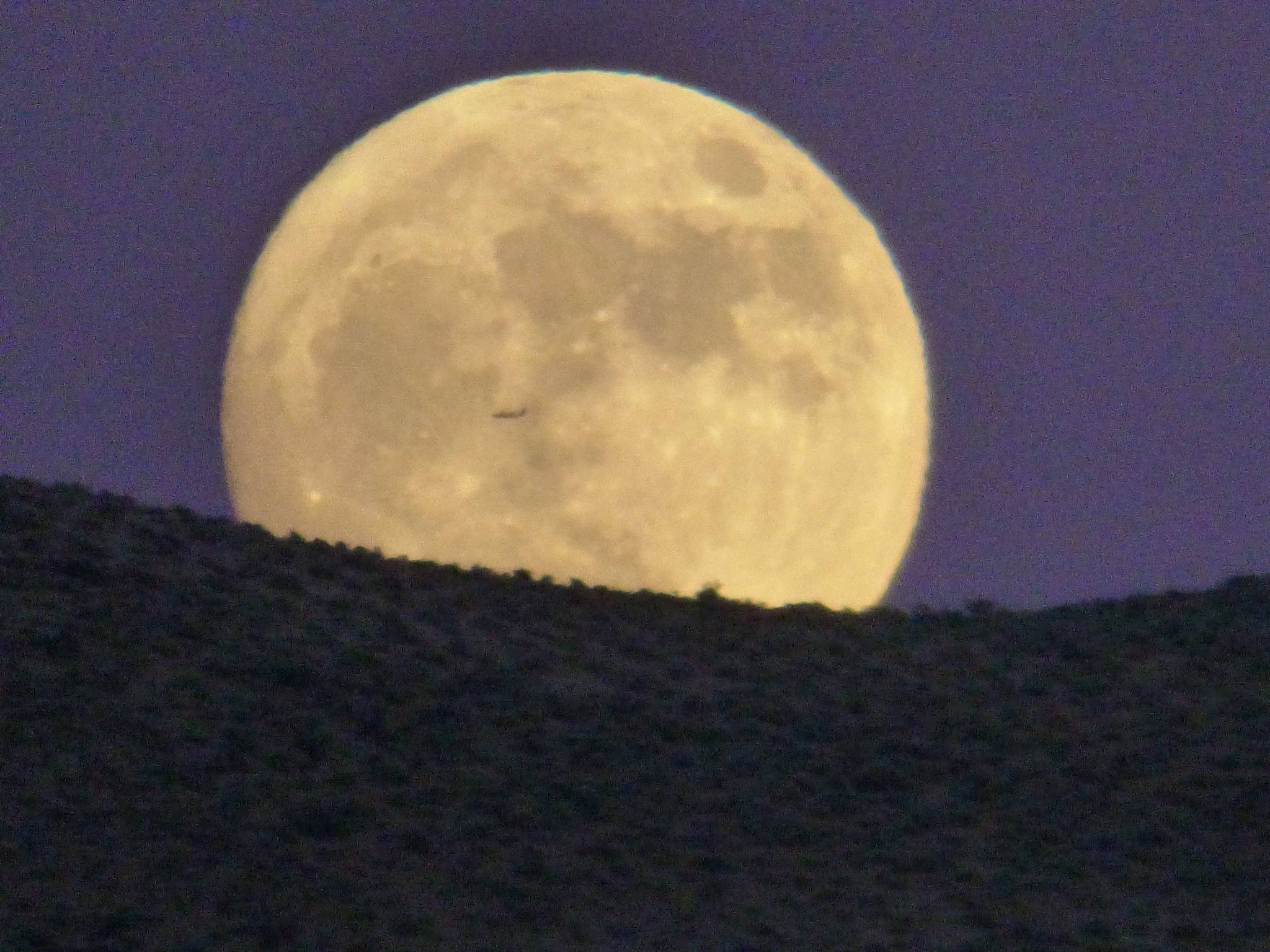 Community photo by Amheric Hall | Reno, Nevada