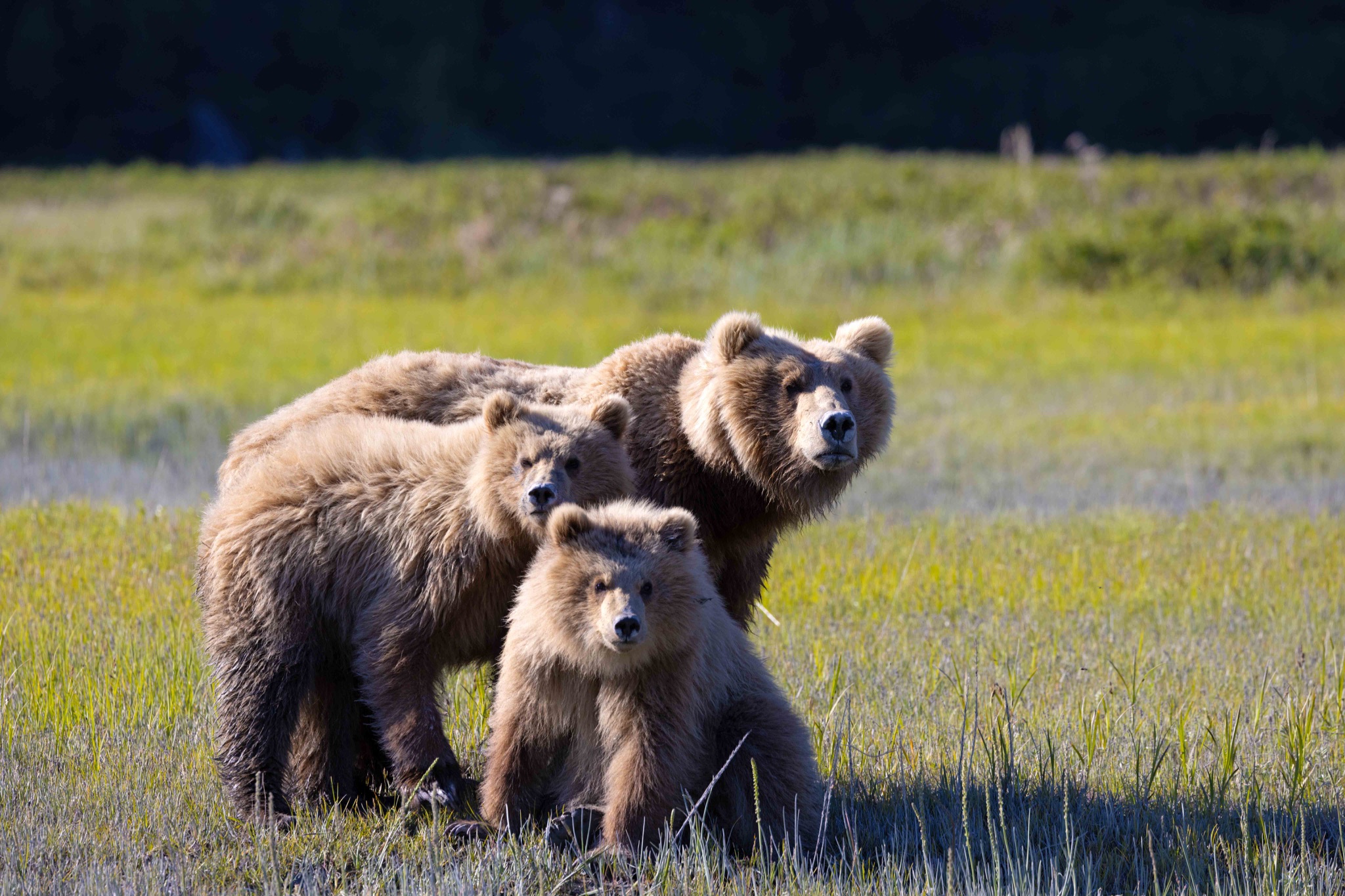 Community photo by Tim Rubbert | Lake Clark National Park, Alaska