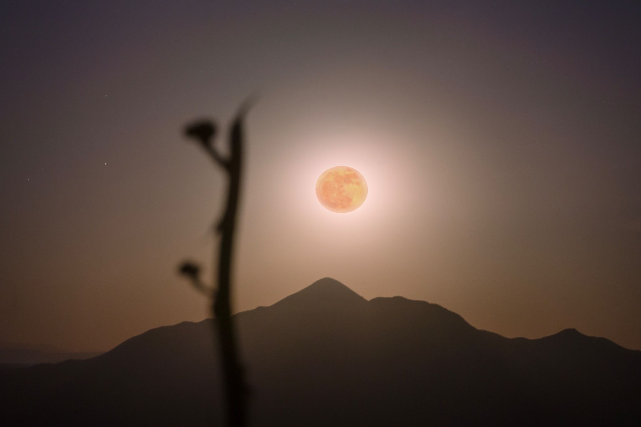 Community photo by Jelieta Walinski Ph.D | Carr Canyon, Arizona