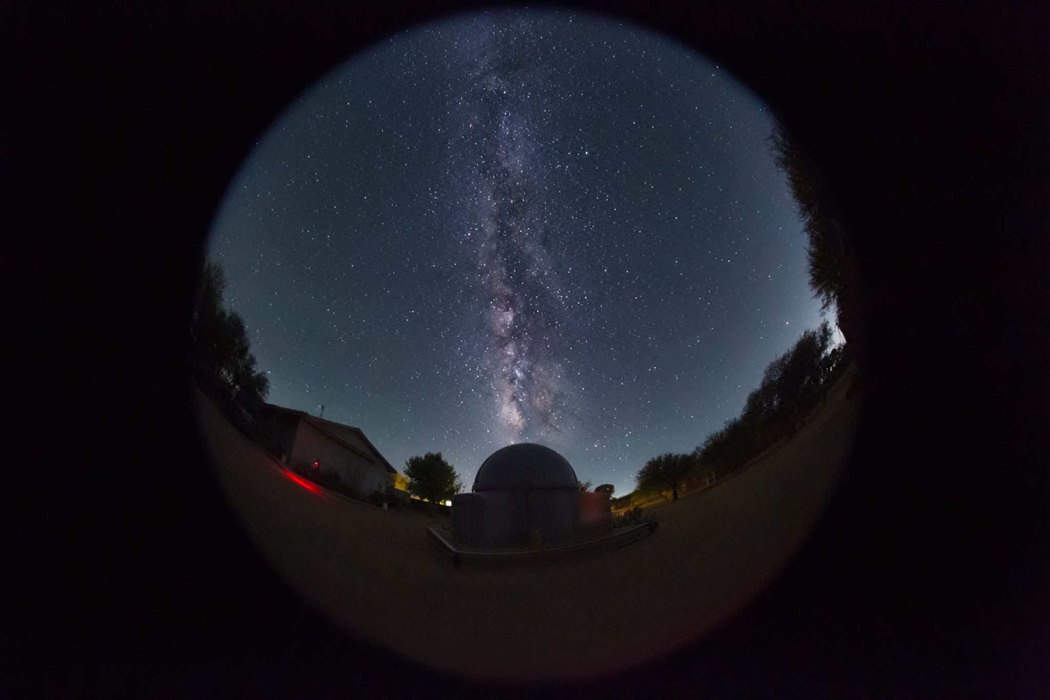 Community photo by Jelieta Walinski Ph.D | Desert bloom Observatory, AZ, USA