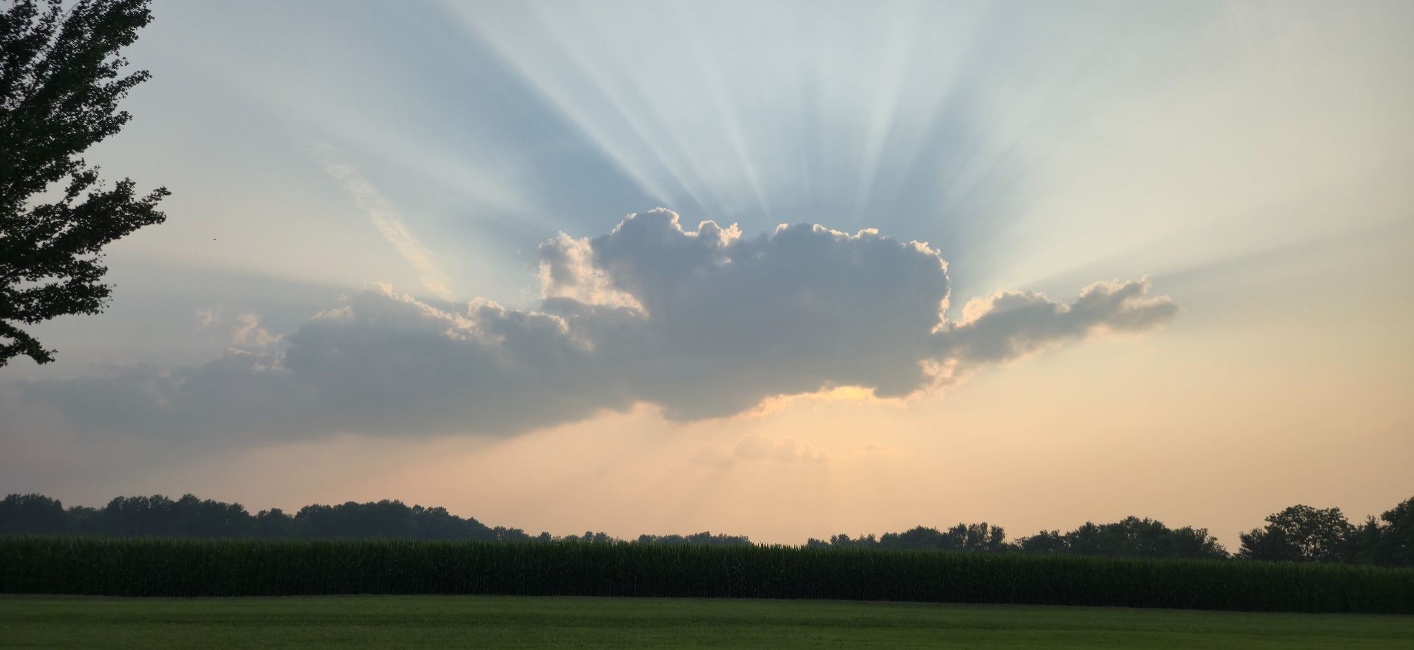 Community photo by GreyRabbit Stafford | Illinois