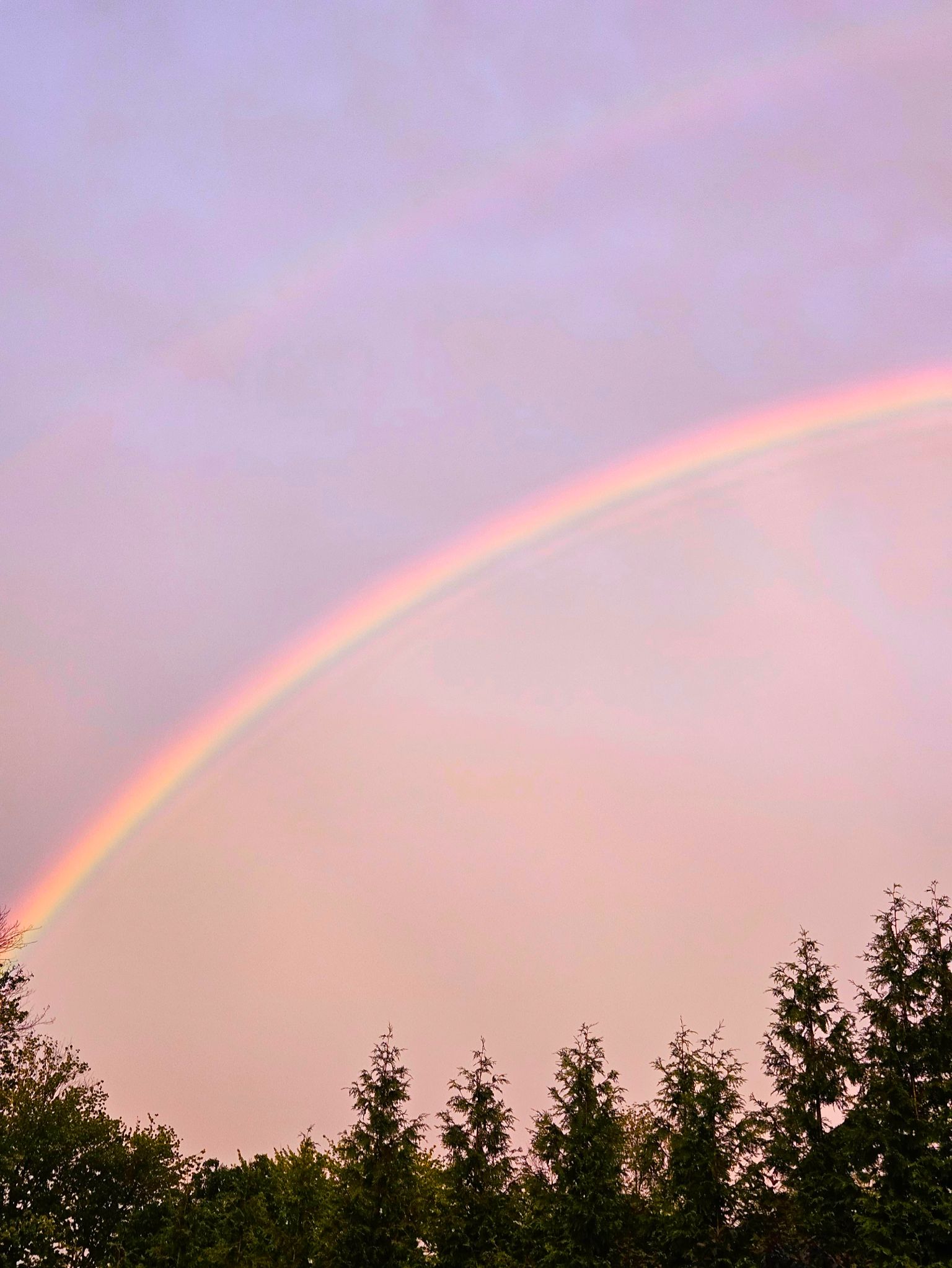 Community photo by C. Gentile | Florham Park, NJ USA