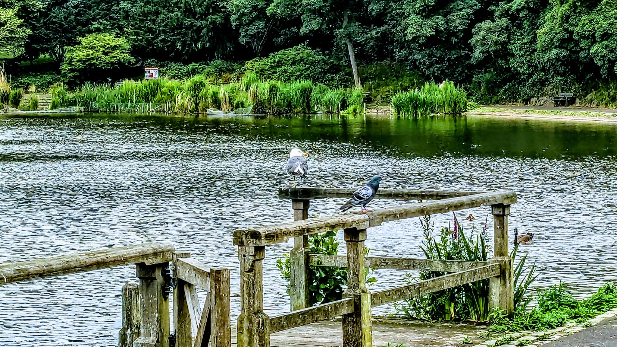 Community photo by Kevan Hubbard | Newcastle,Northumberland,England