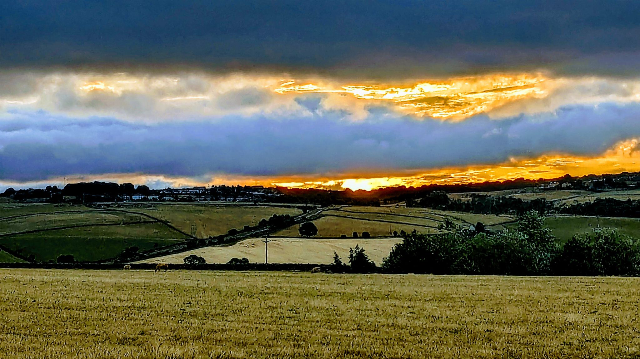 Community photo by Kevan