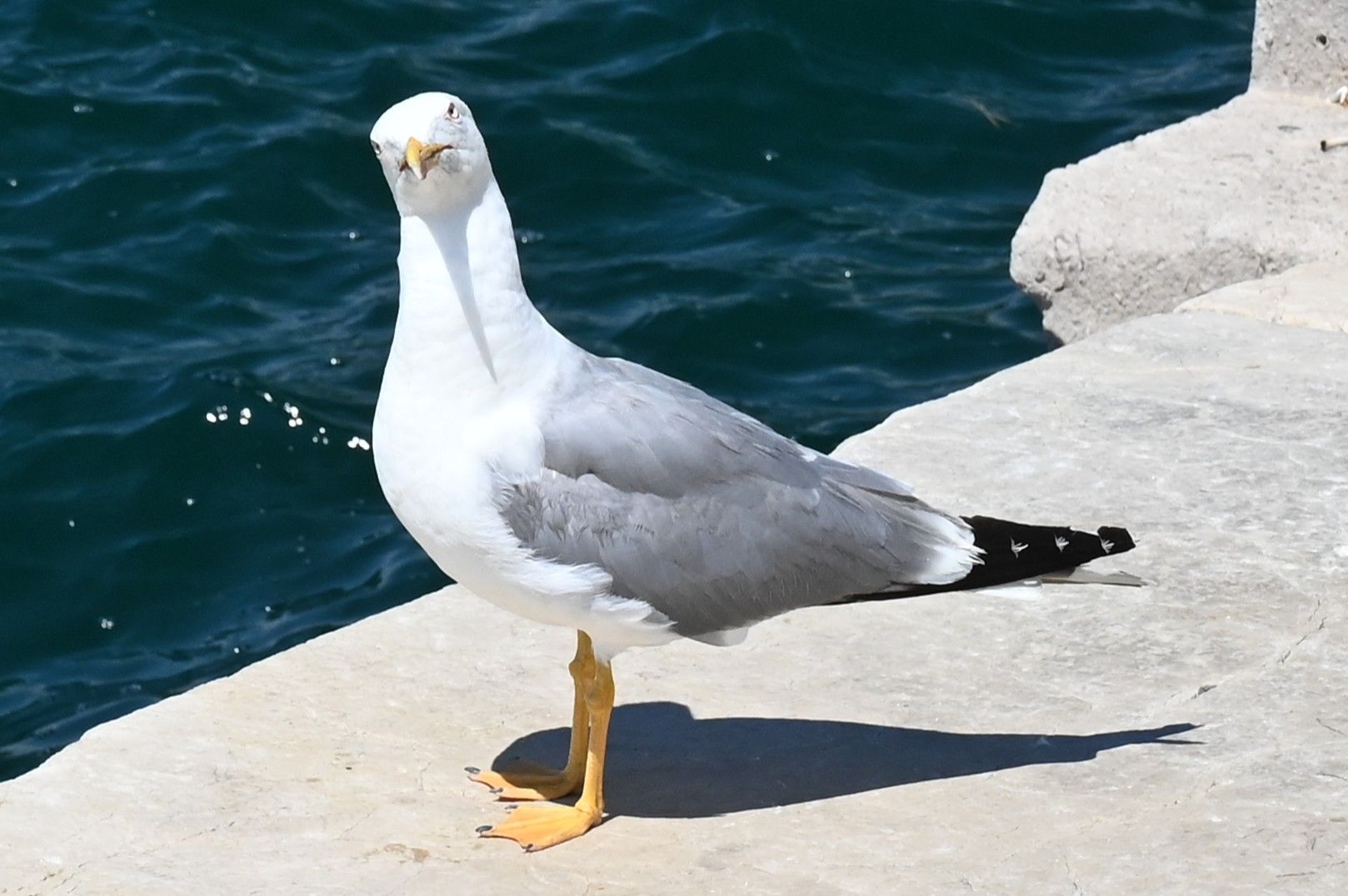 Community photo by Frank Lu | Trieste, Italy