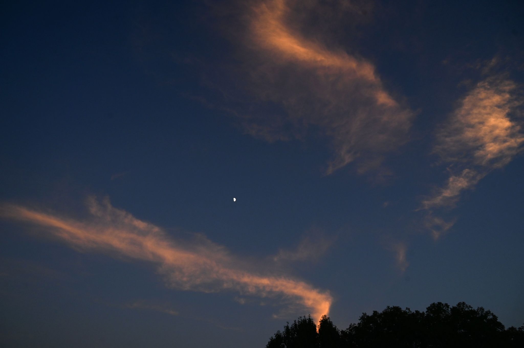 Community photo by Frank Lu | Arlington, Texas, USA