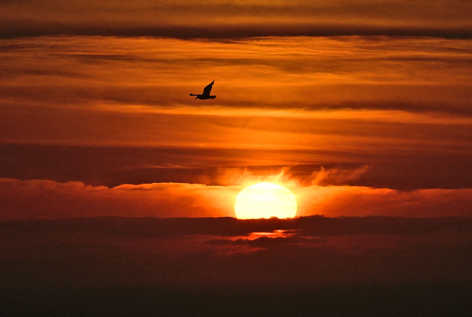Community photo by Cecille Kennedy | Oregon Coast, Oregon
