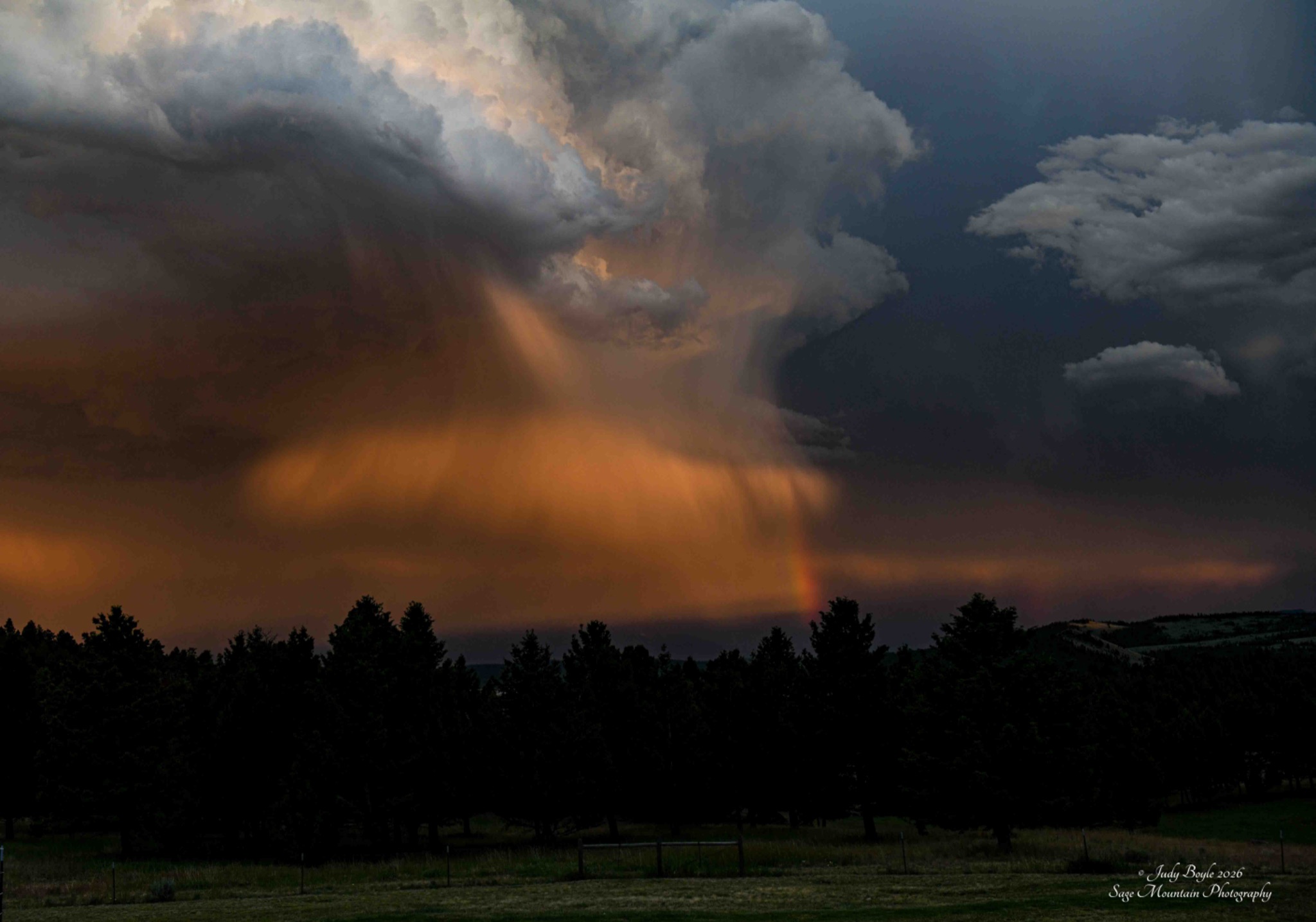 Community photo by Judy Boyle | Whitehall, MT
