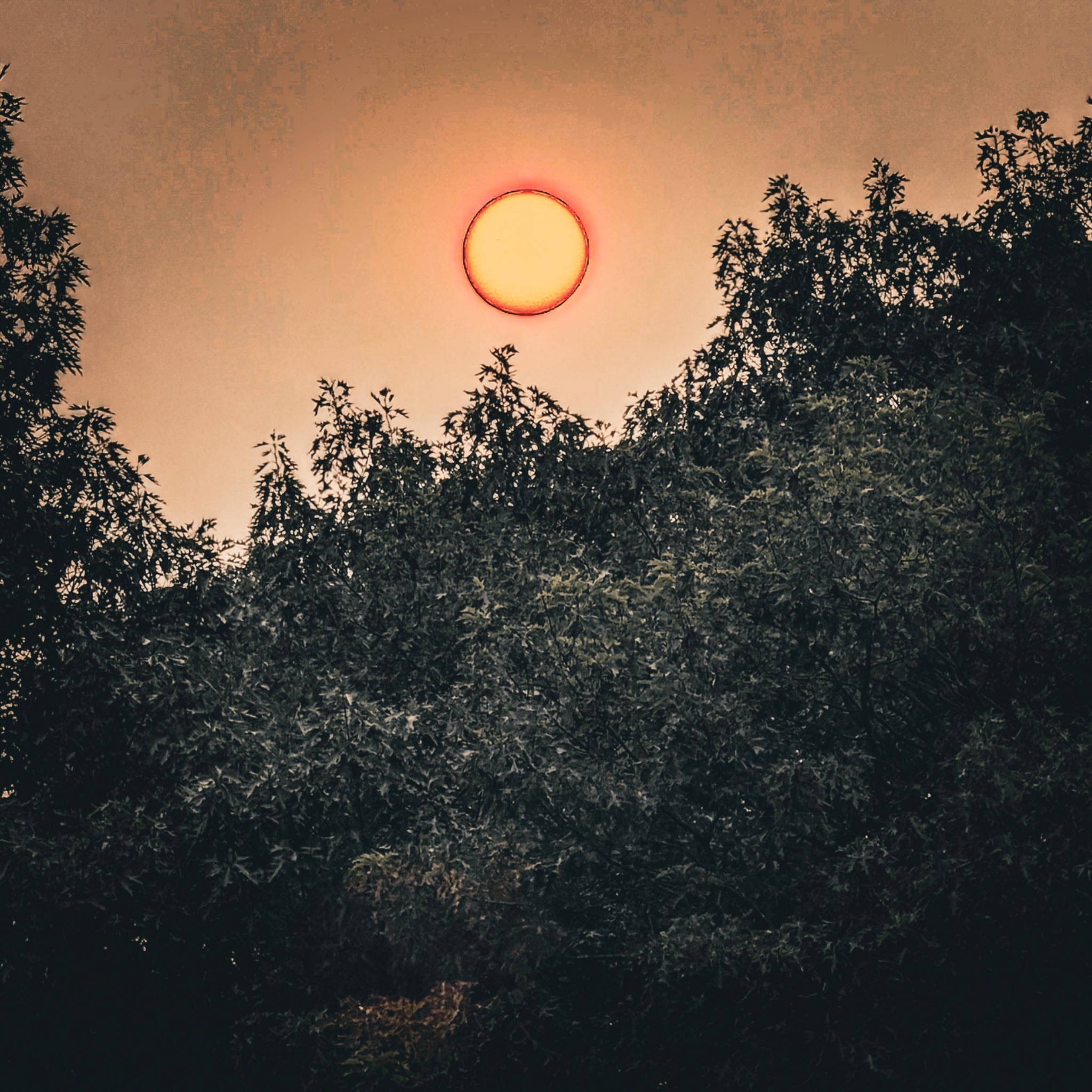 Community photo by Stephen Montag | Livingston, New Jersey
