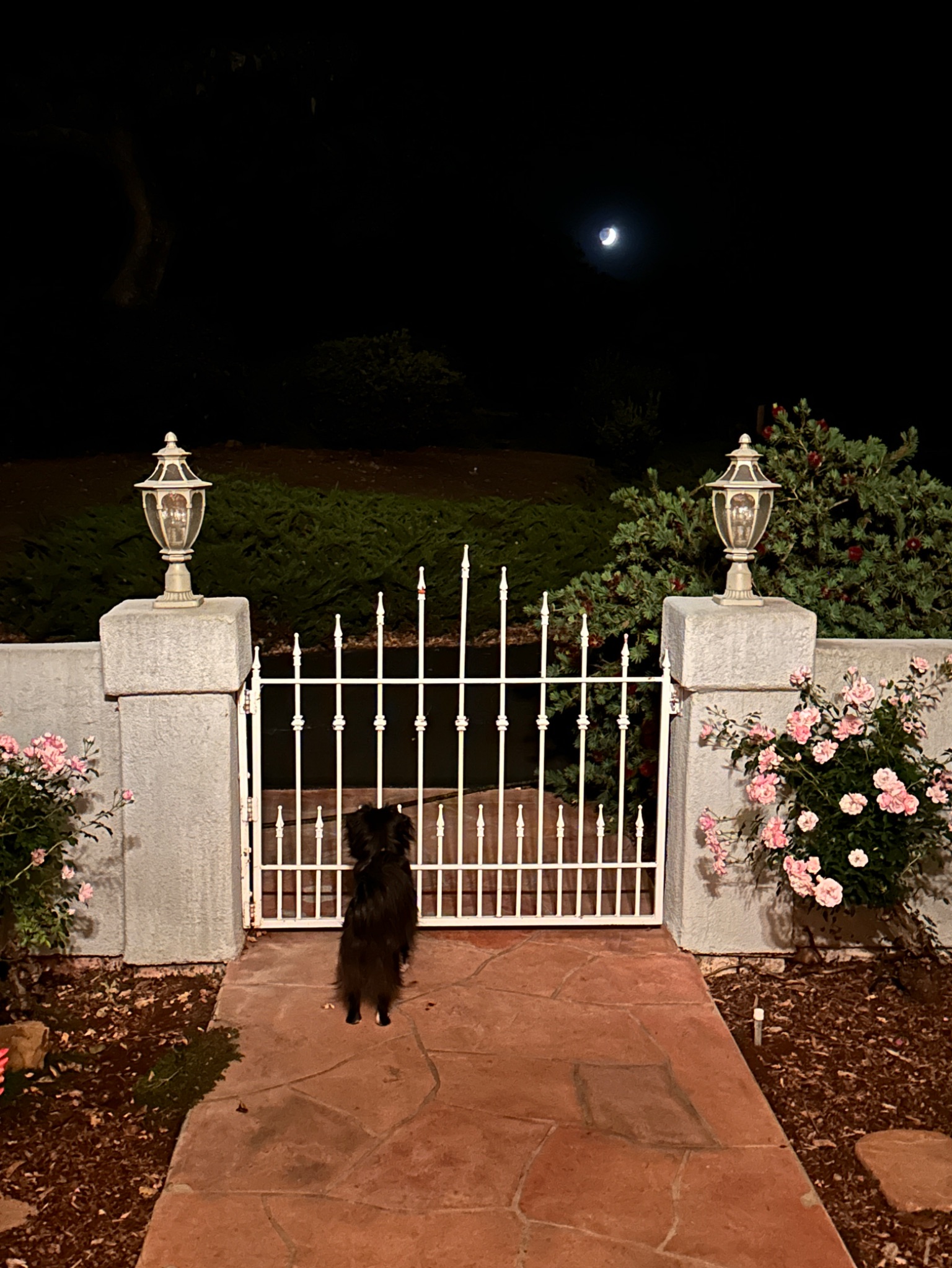 Community photo by Chris Crescioli | Atascadero, California, USA