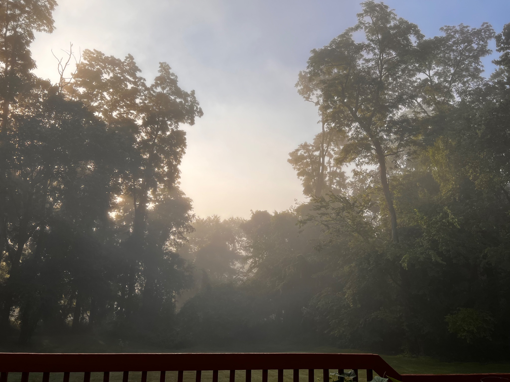 Community photo by Sudhir Sharma | Stormville, NY