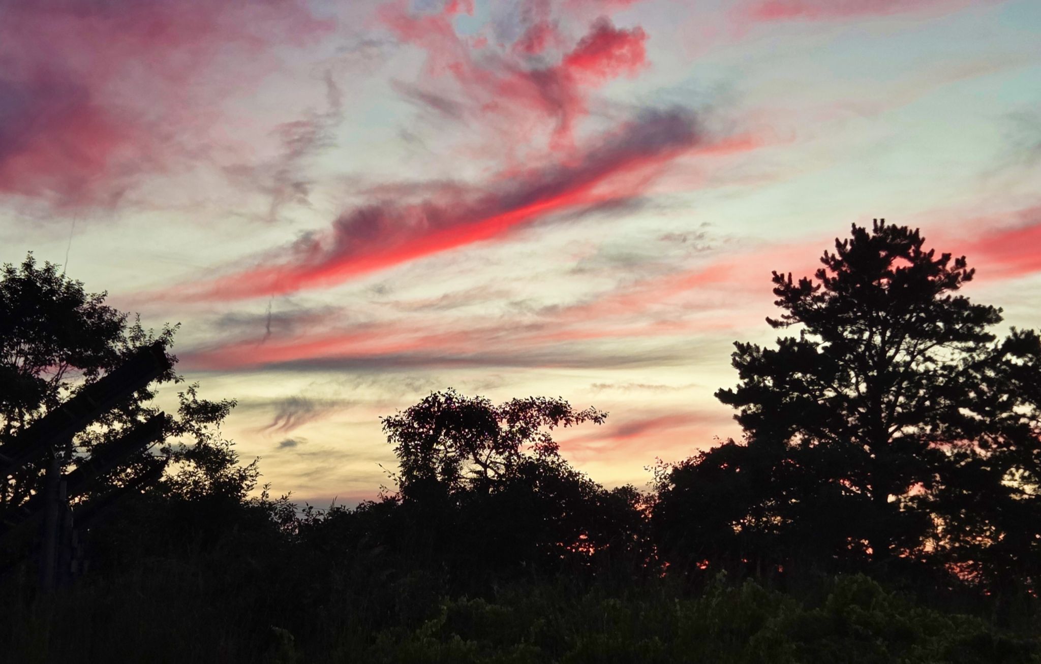 Community photo by Lorraine Boyd | Albany, New York