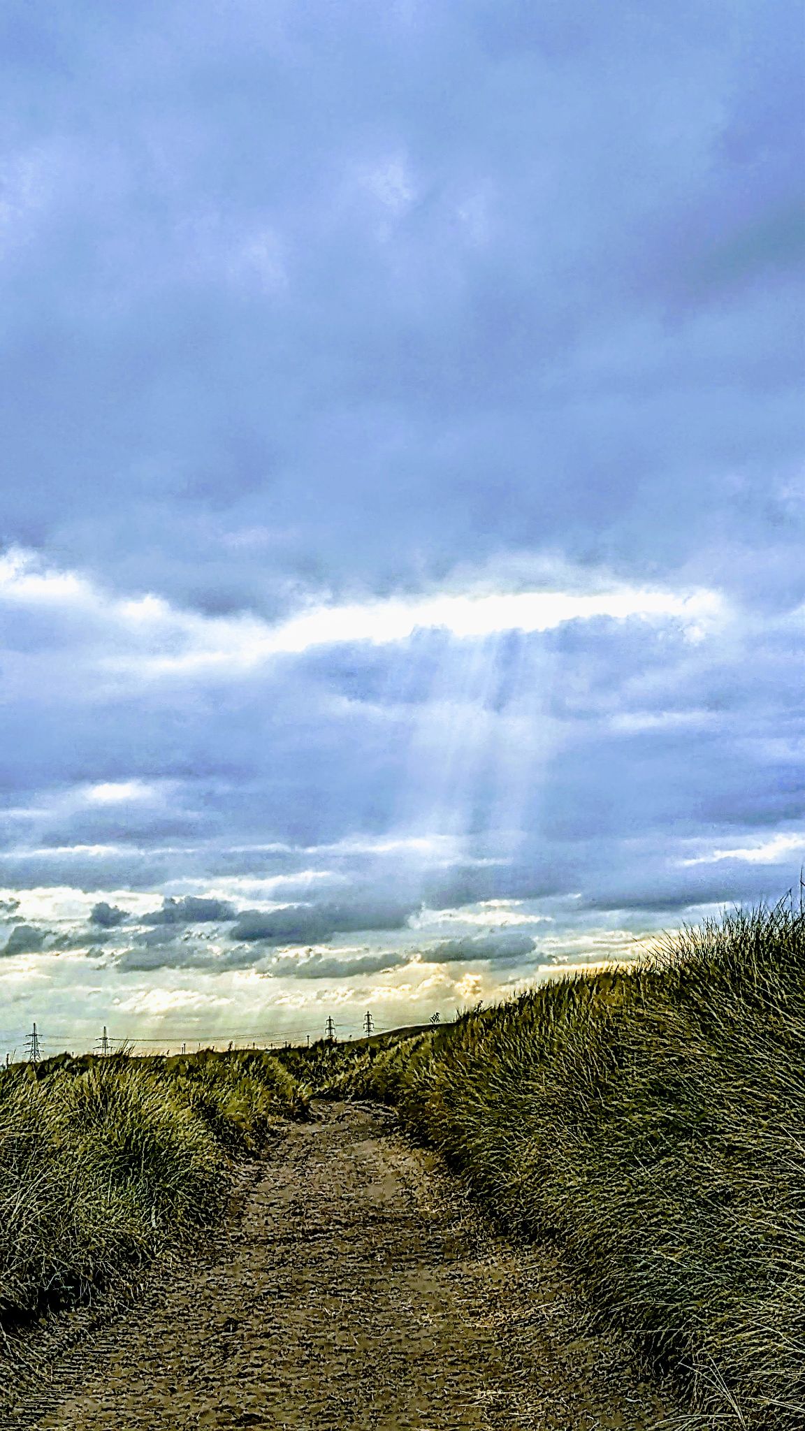 Community photo by Kevan Hubbard | Teesmouth Nature Reserve, Co Durham, England