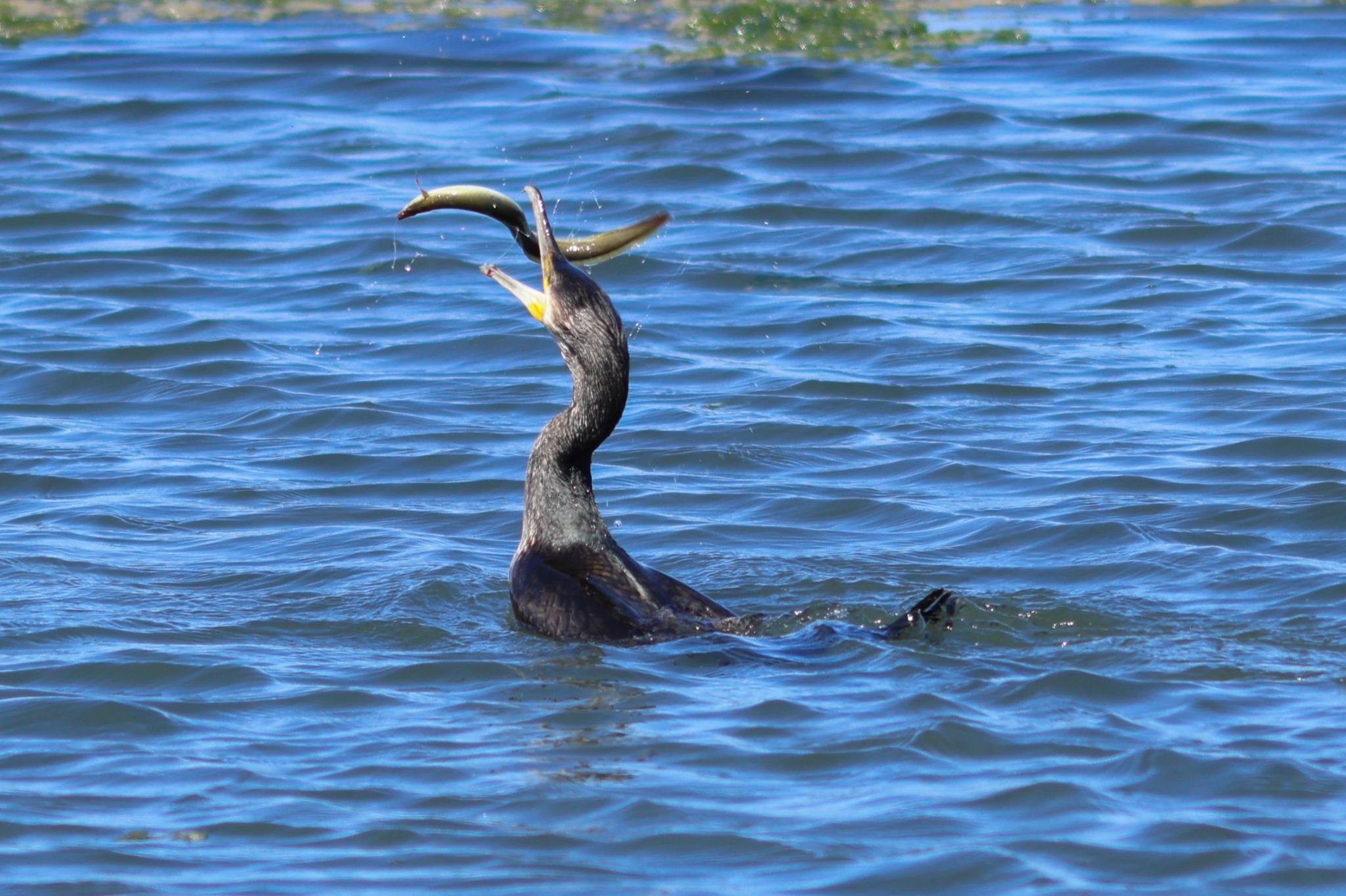 Community photo by Rusty Smith and Mrs D | Hengistbury Head Dorset UK
