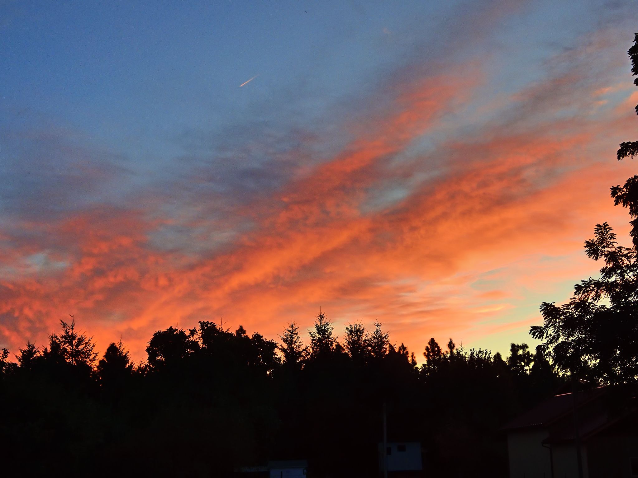 Community photo by Cecille Kennedy | Corvallis, Oregon