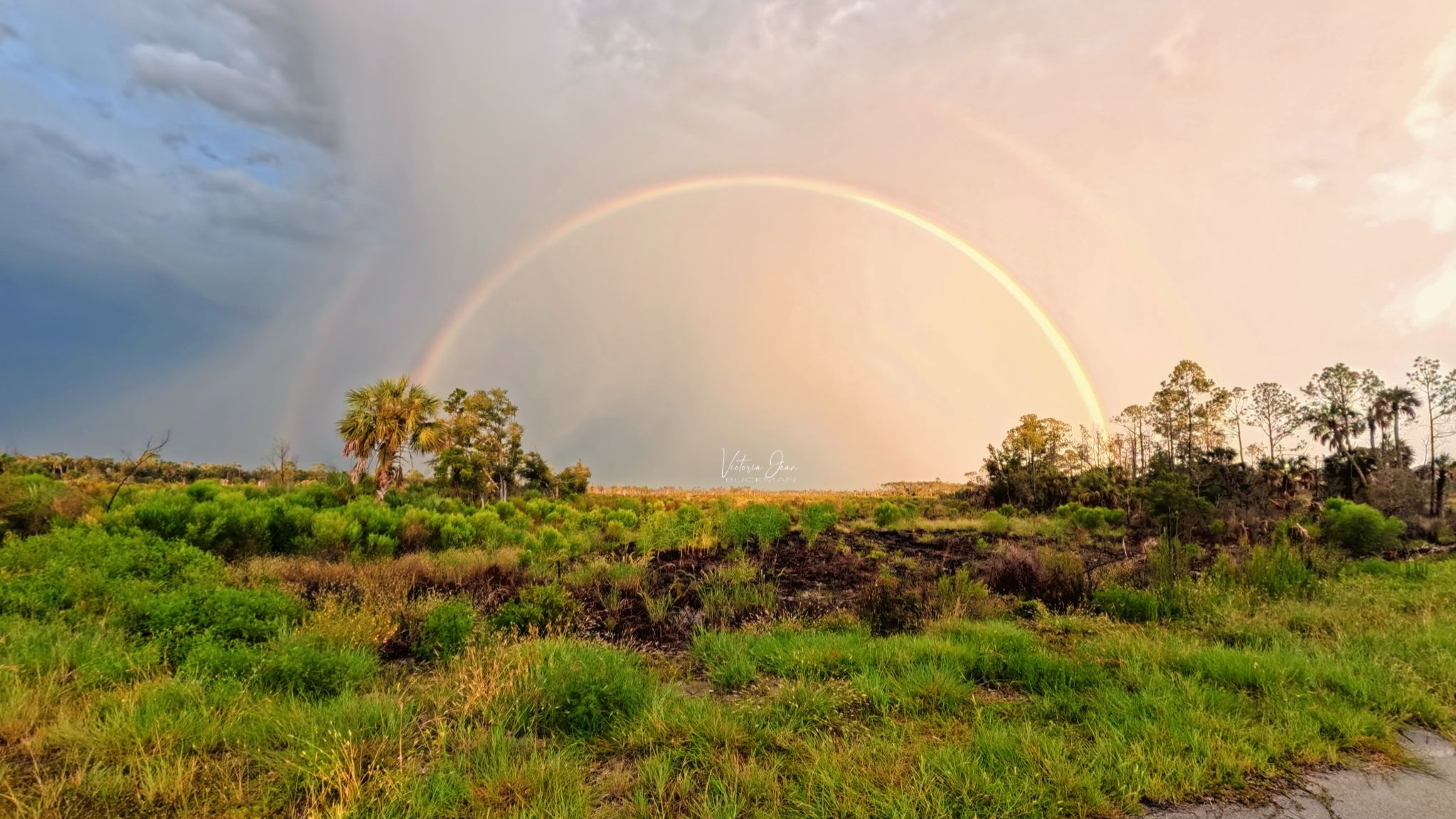 Community photo by Victoria Jean