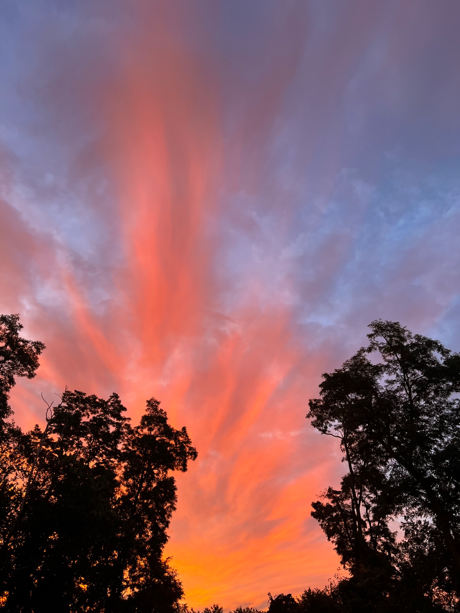 Community photo by Sudhir Sharma | Stormville, NY