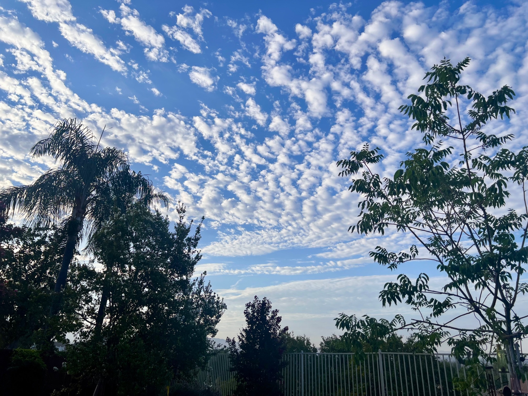 Community photo by Dolores Moreno | Highland, CA