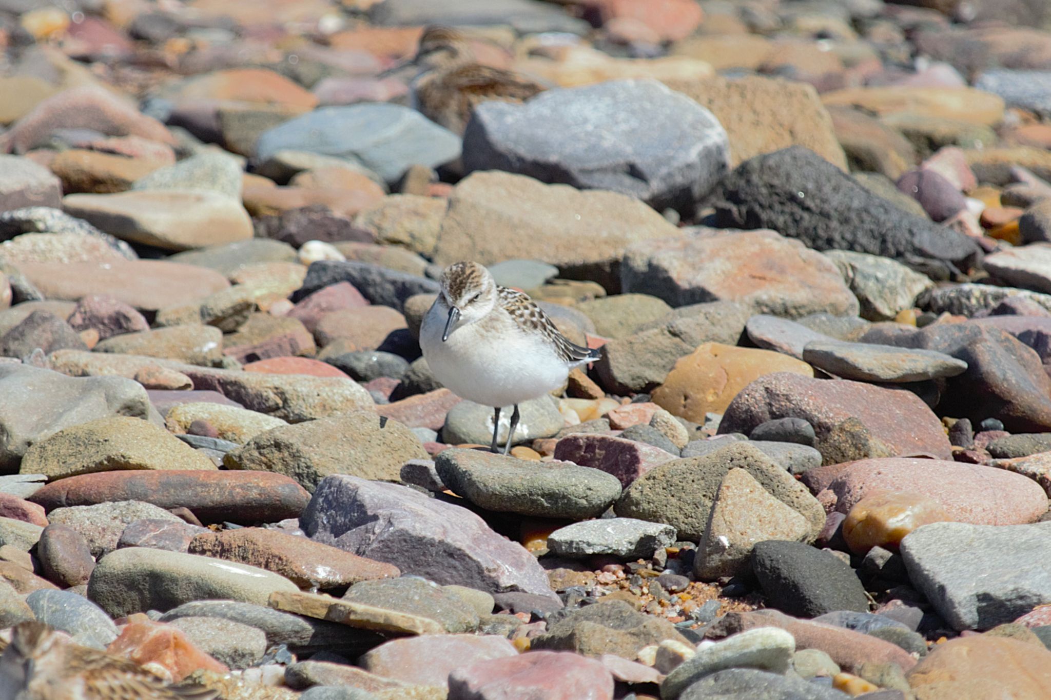 Community photo by David Hoskin | Wolfville, Nova Scotia, Canada