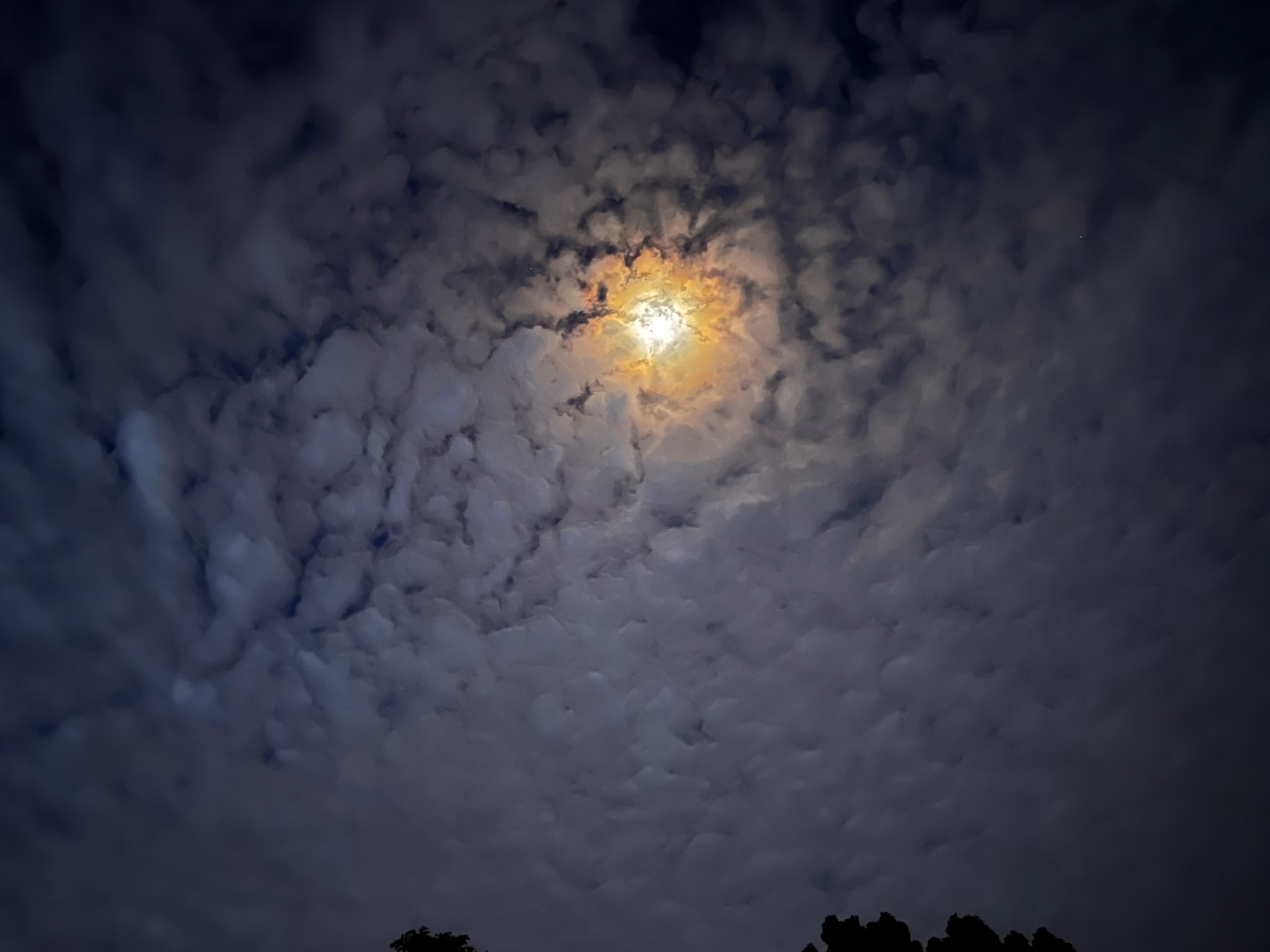 Community photo by Sudhir Sharma | Stormville, NY