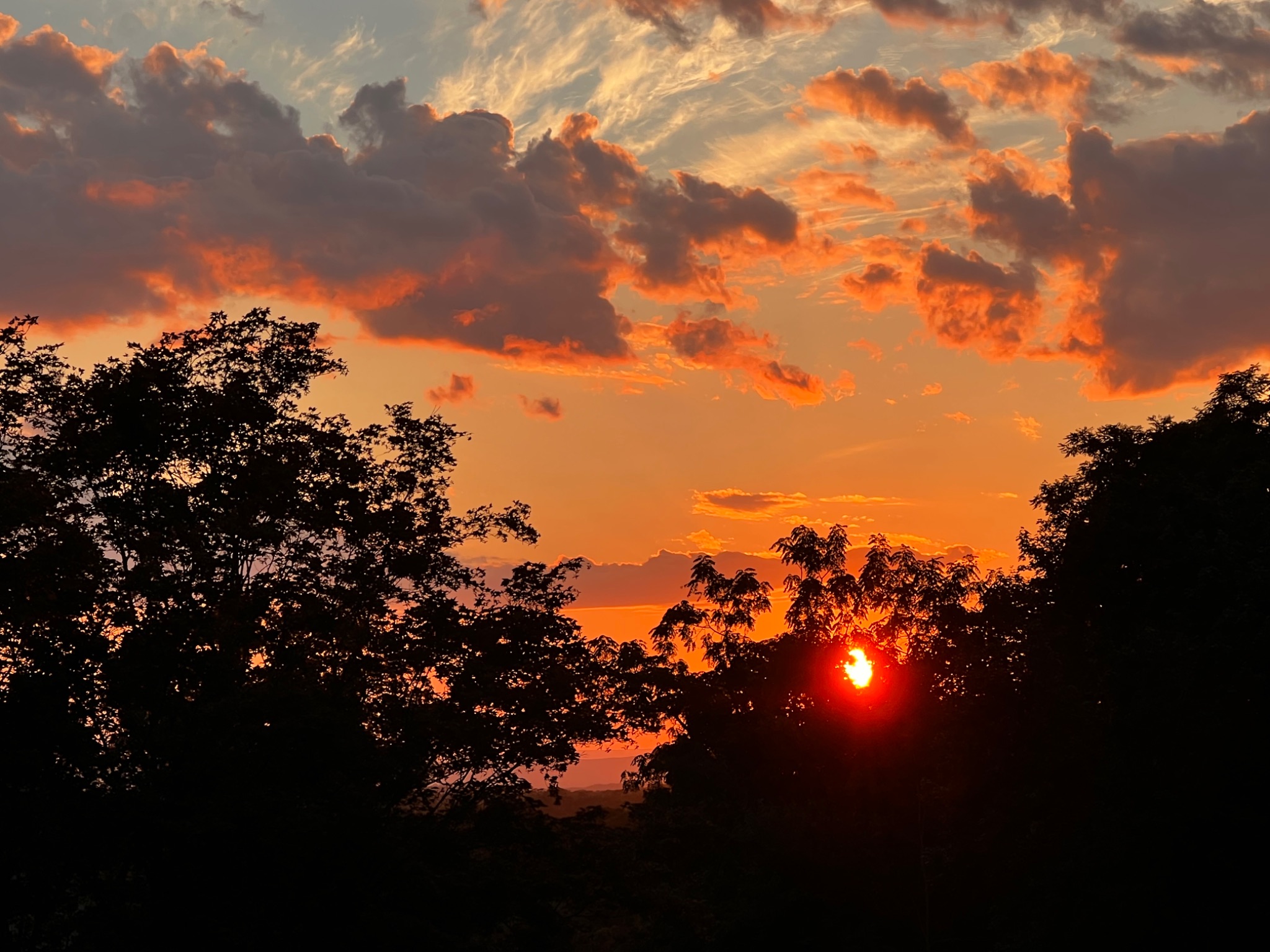 Community photo by Sudhir Sharma | Stormville, NY