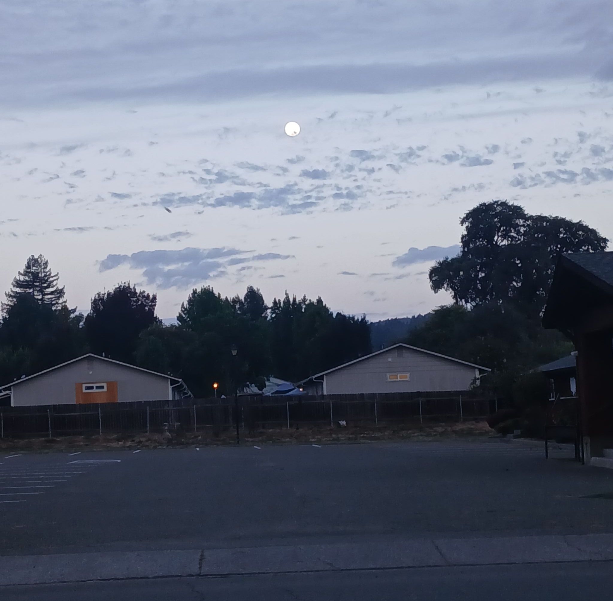 Community photo by Marcia Kennedy | Willits  California
