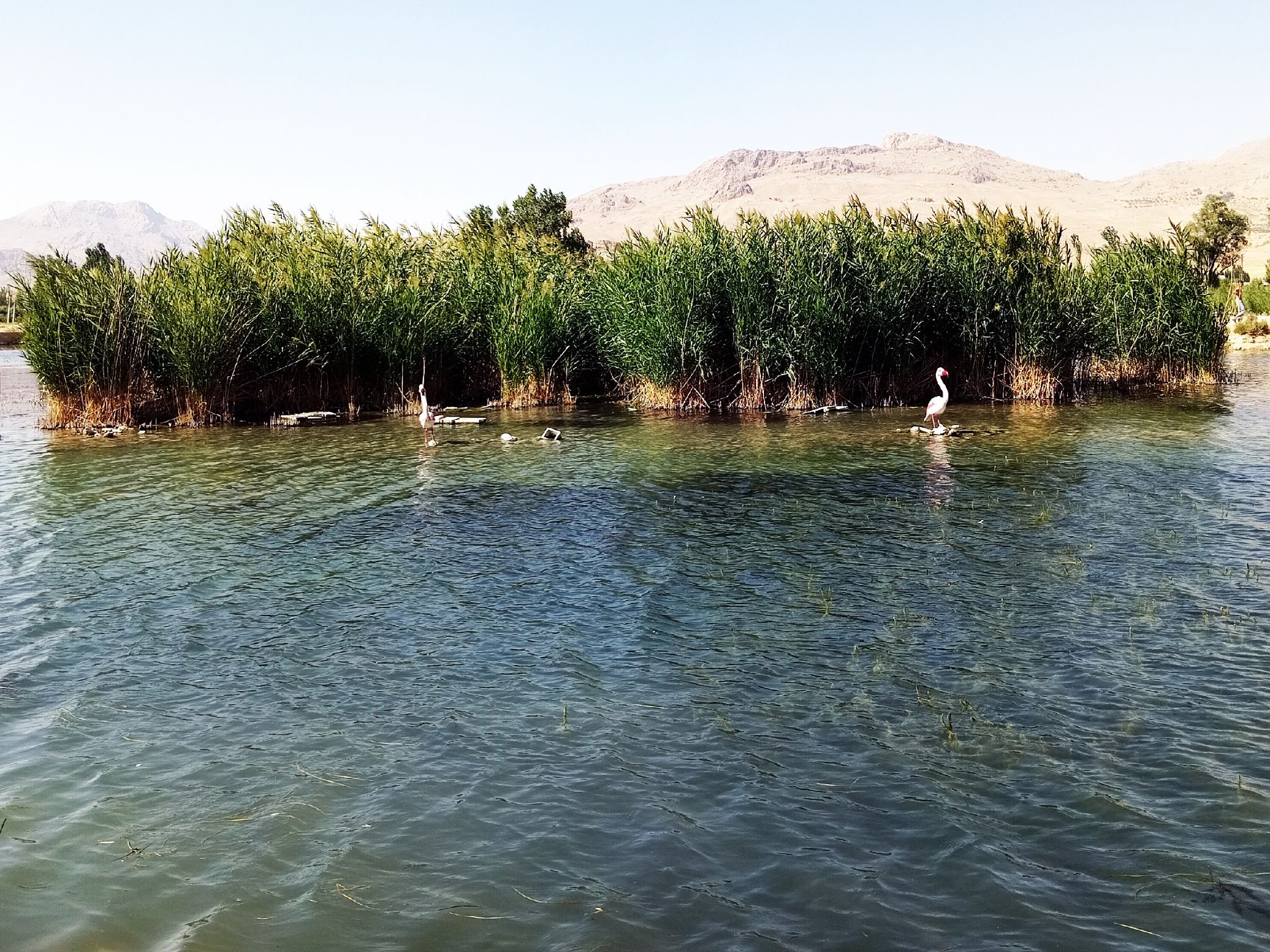 Community photo by Hassan Dadashi Arani | Chaharmahal and Bakhtiari province. Iran