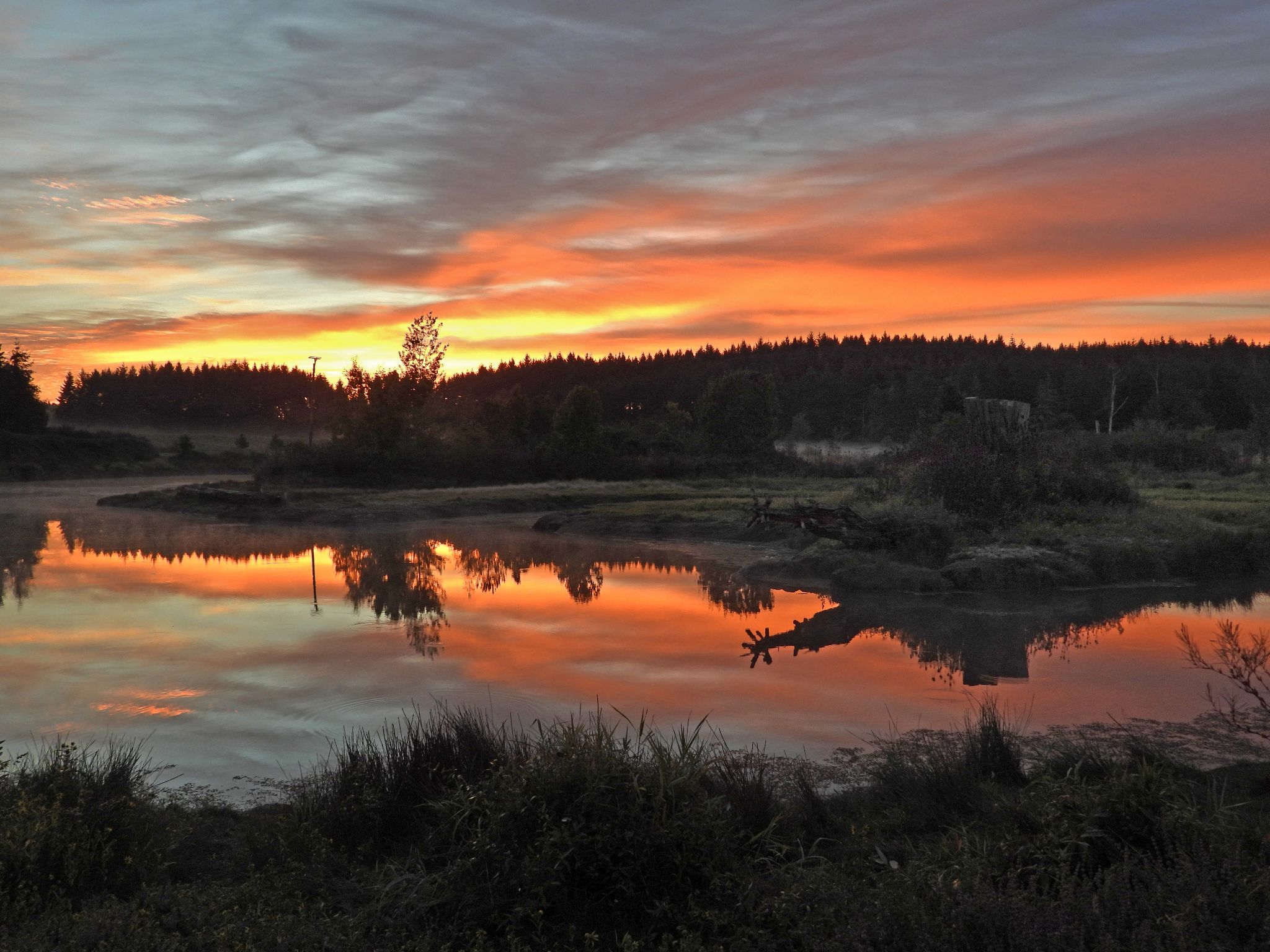 Community photo by Cecille Kennedy | Independence, Oregon