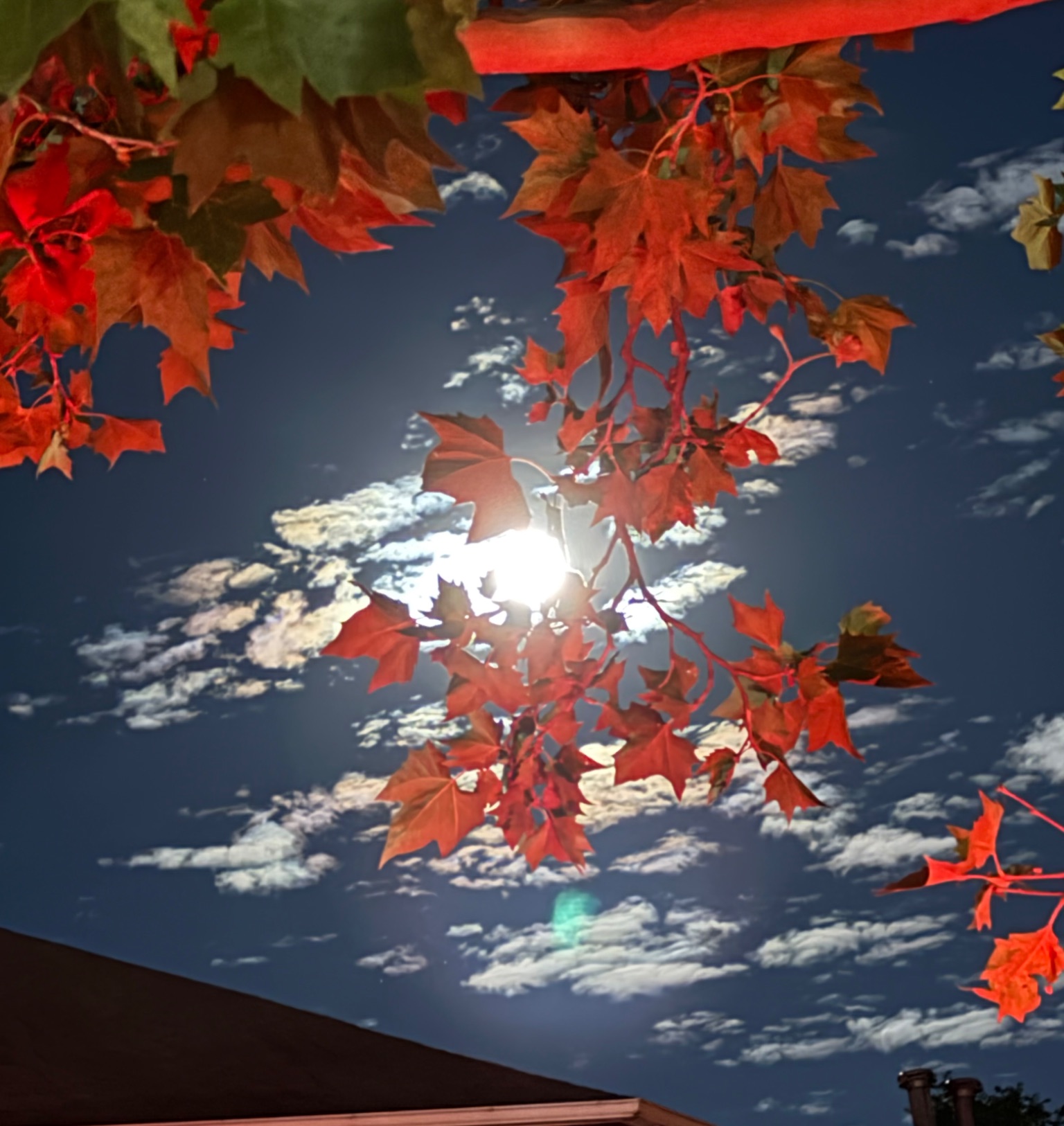 Community photo by Lois Vanbroekhoven | Grand Rapids Michigan