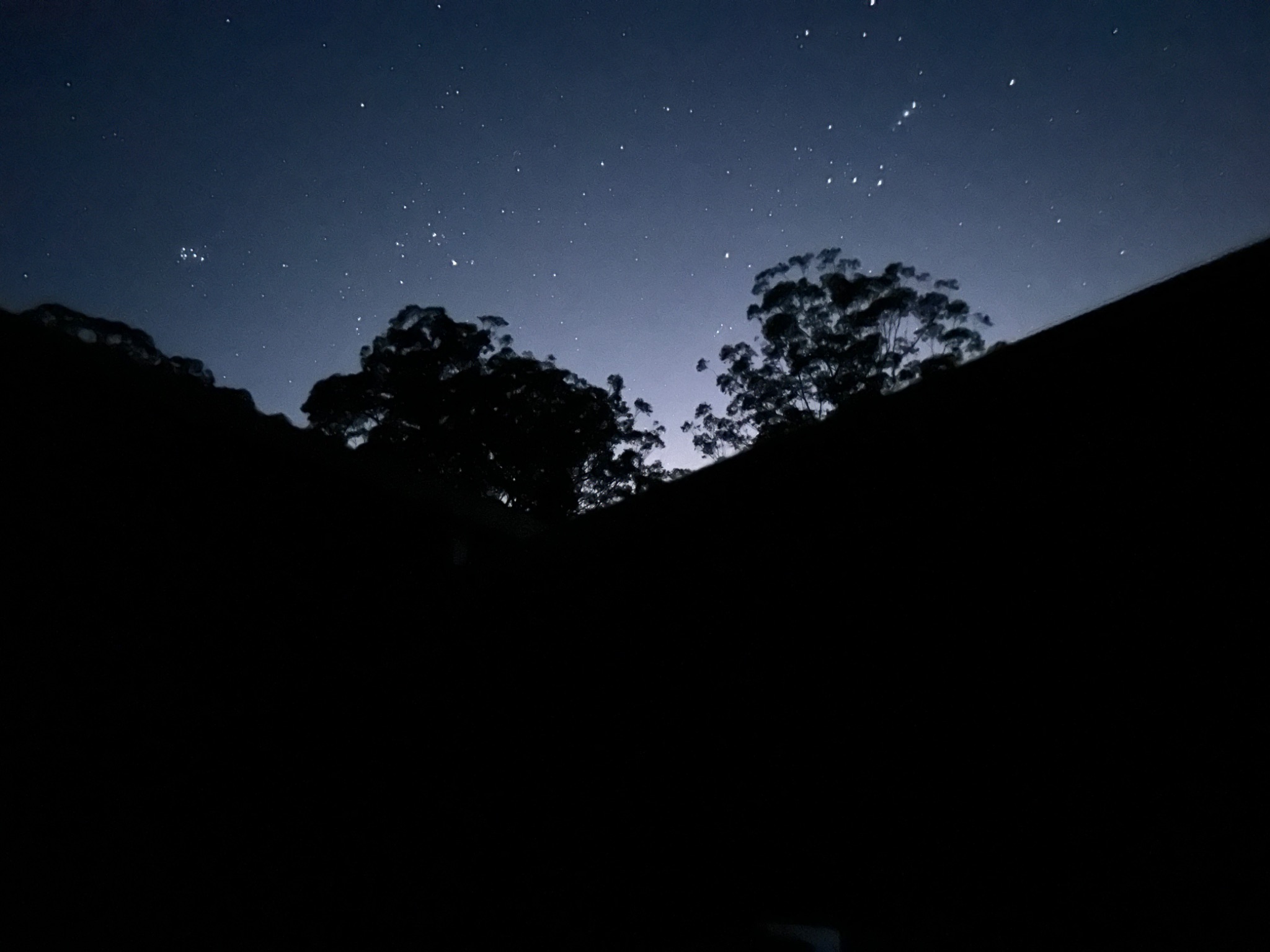Community photo by Lee Corda | Kendall NSW Australia