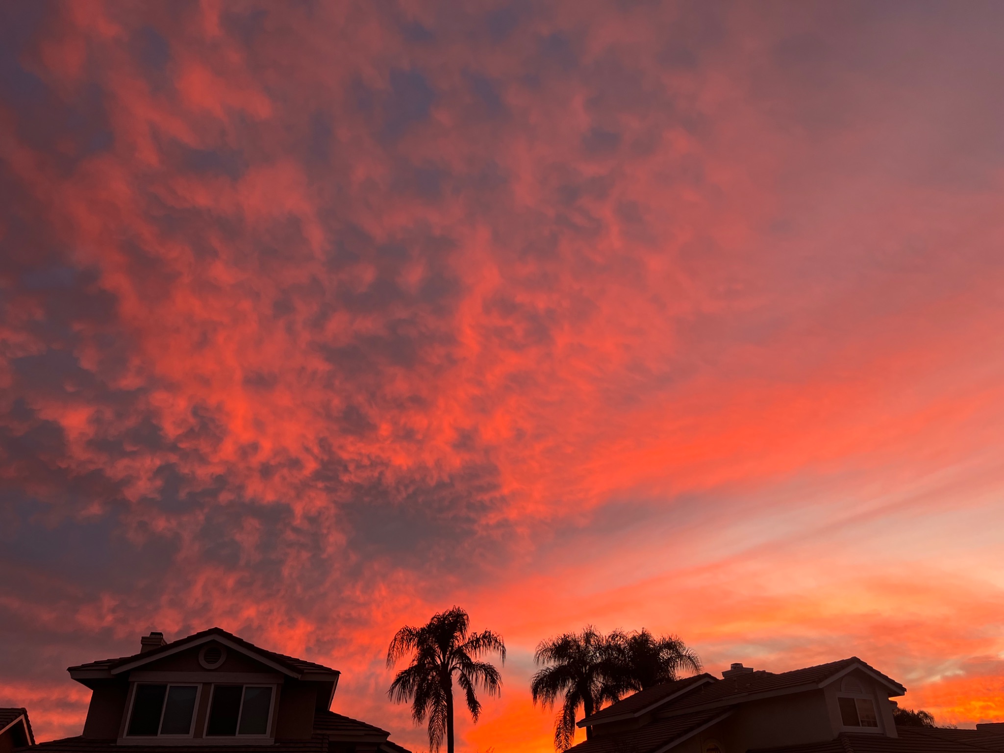 Community photo by Dolores Moreno | Highland, CA