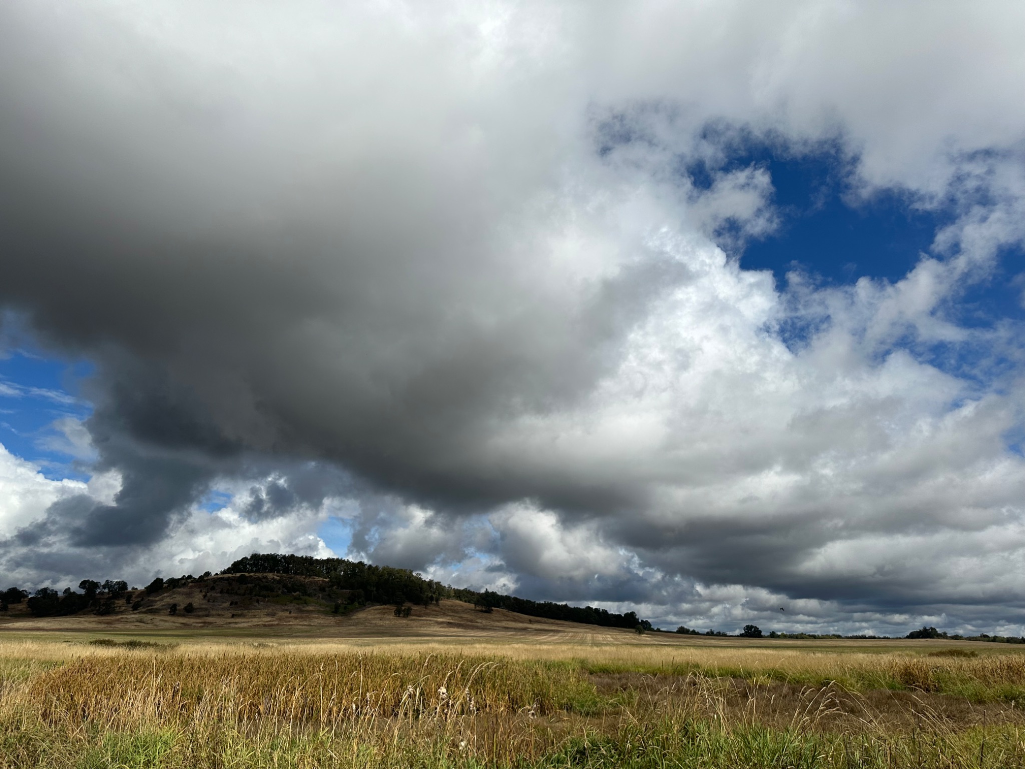 Community photo by Victoria Bryhan | Finley National Wildlife Refuge, Monroe, Oregon