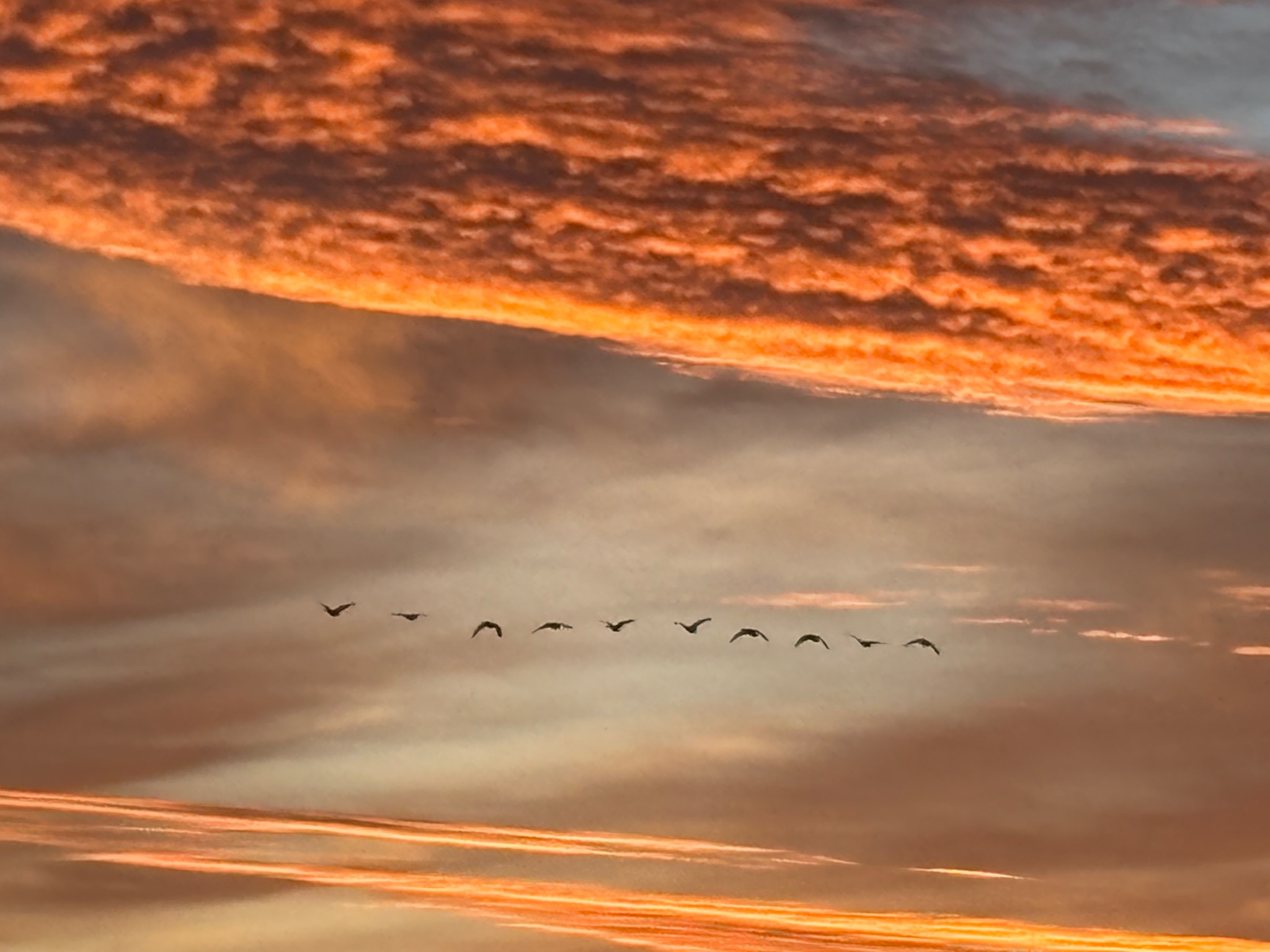 Community photo by Himanshu Patel Patrl | Brampton, on, canada