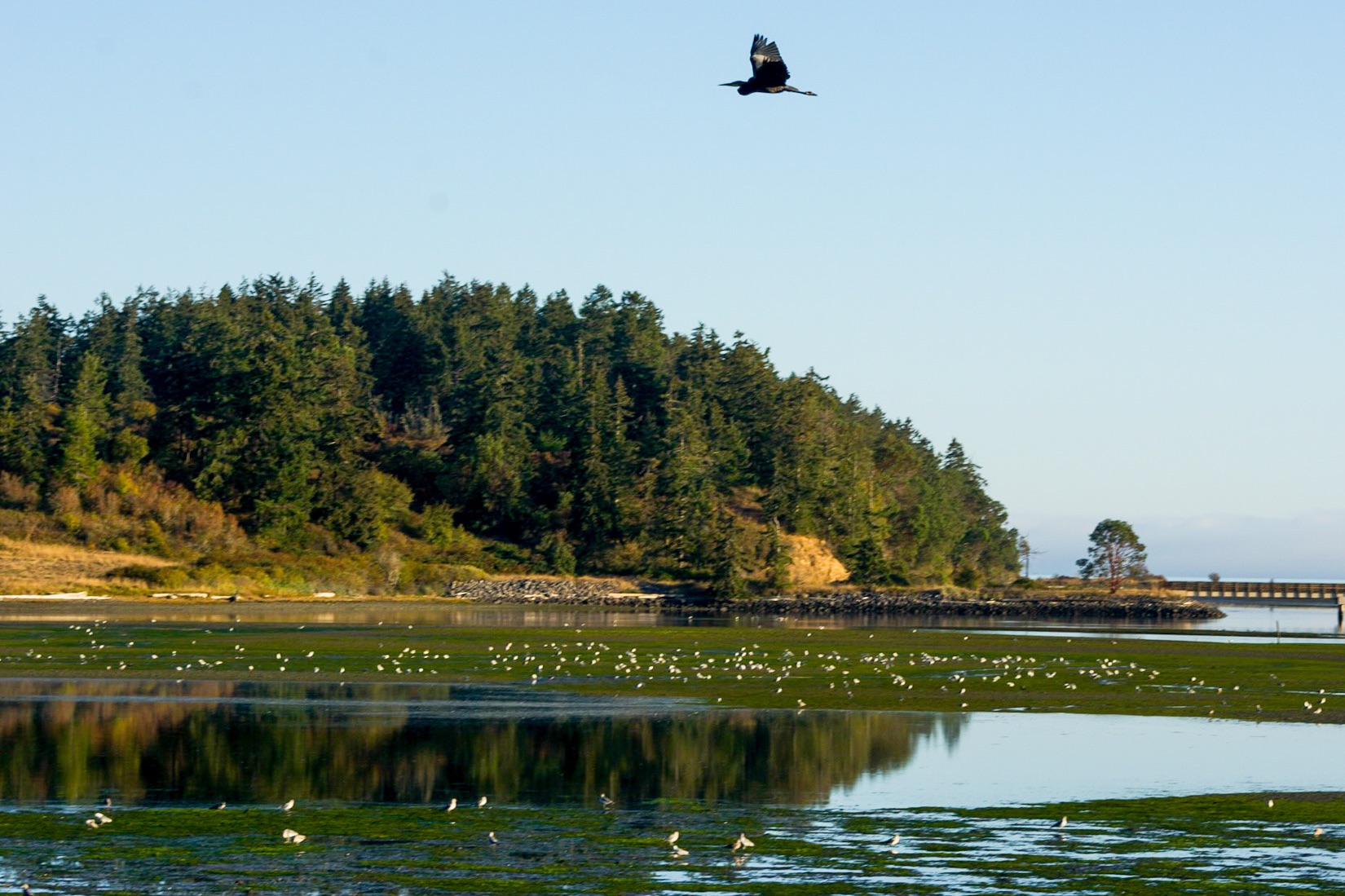Community photo by Angelina Reese | Sequim, Washington, USA