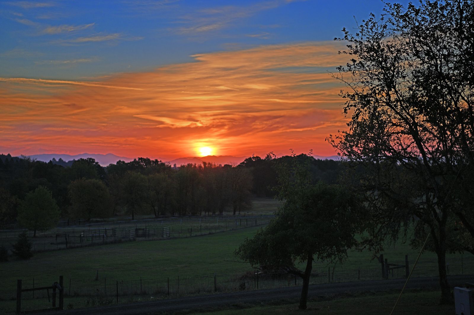 Community photo by Cecille Kennedy | Corvallis, Oregon