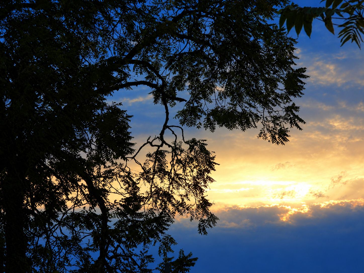 Community photo by Cecille Kennedy | Corvallis, Oregon