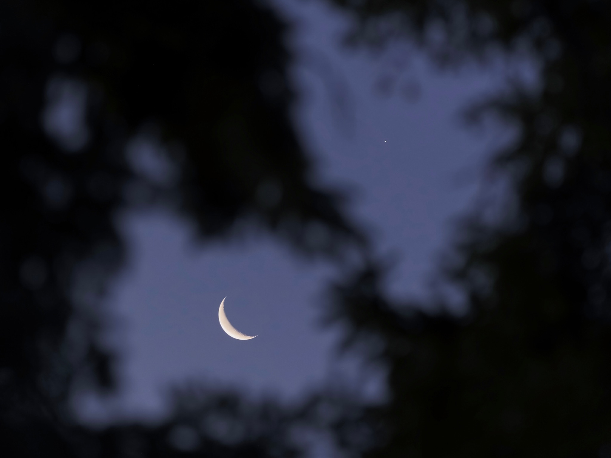 Community photo entitled The Moon and Jupiter Peeking Through Trees by Joel Weatherly on 10/06/2026 at Edmonton, Alberta, Canada