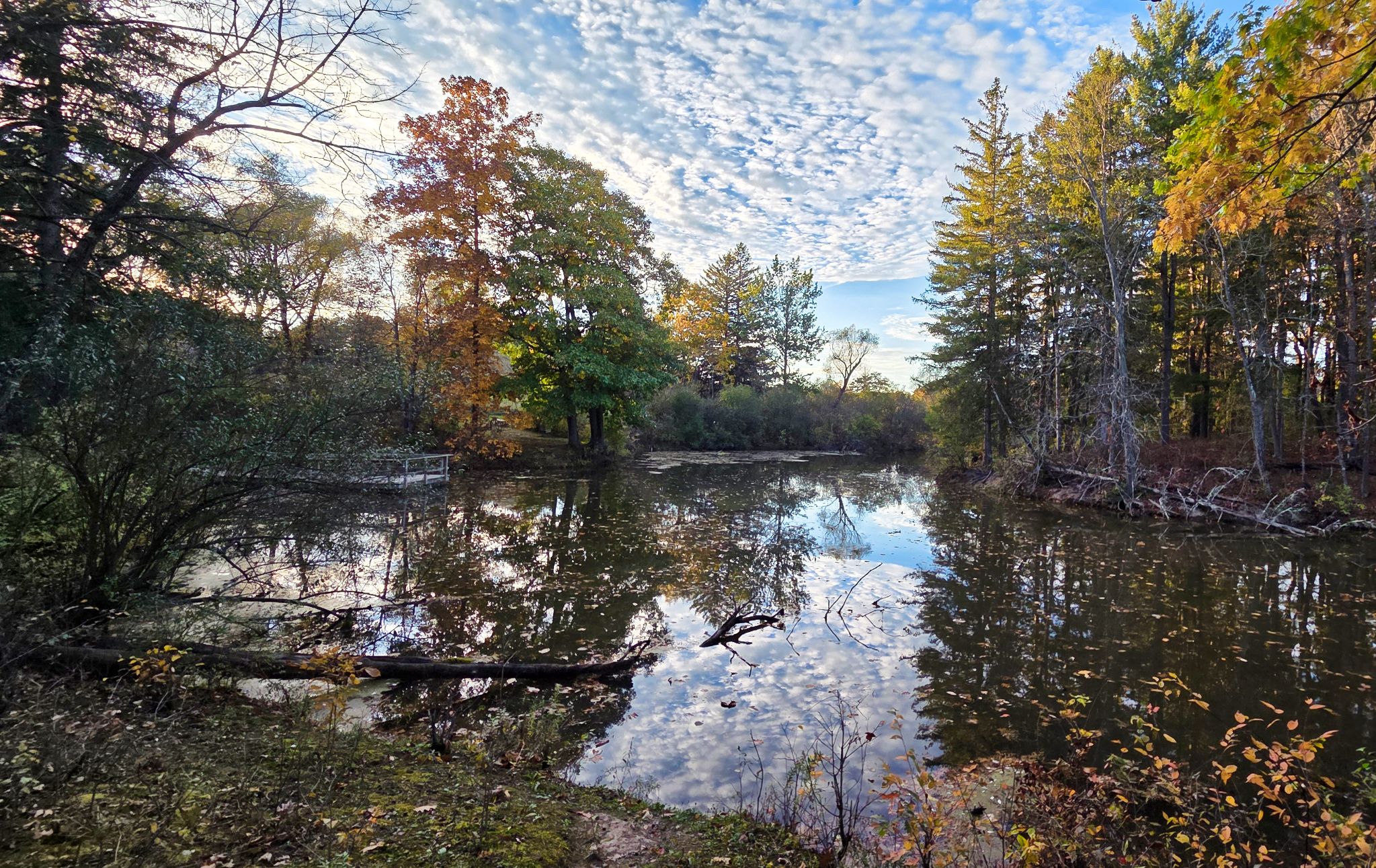 Community photo by Lorraine Boyd | Delmar, New York