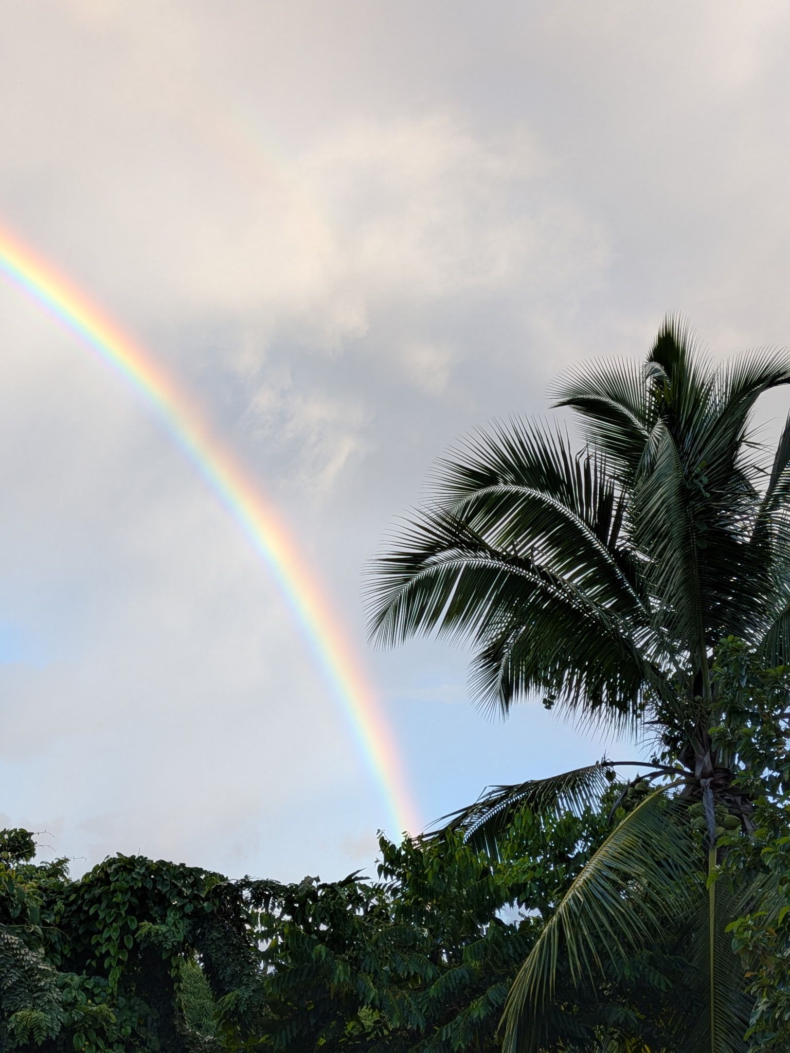 Community photo by Moises Villafane | Rio Grande, Puerto Rico