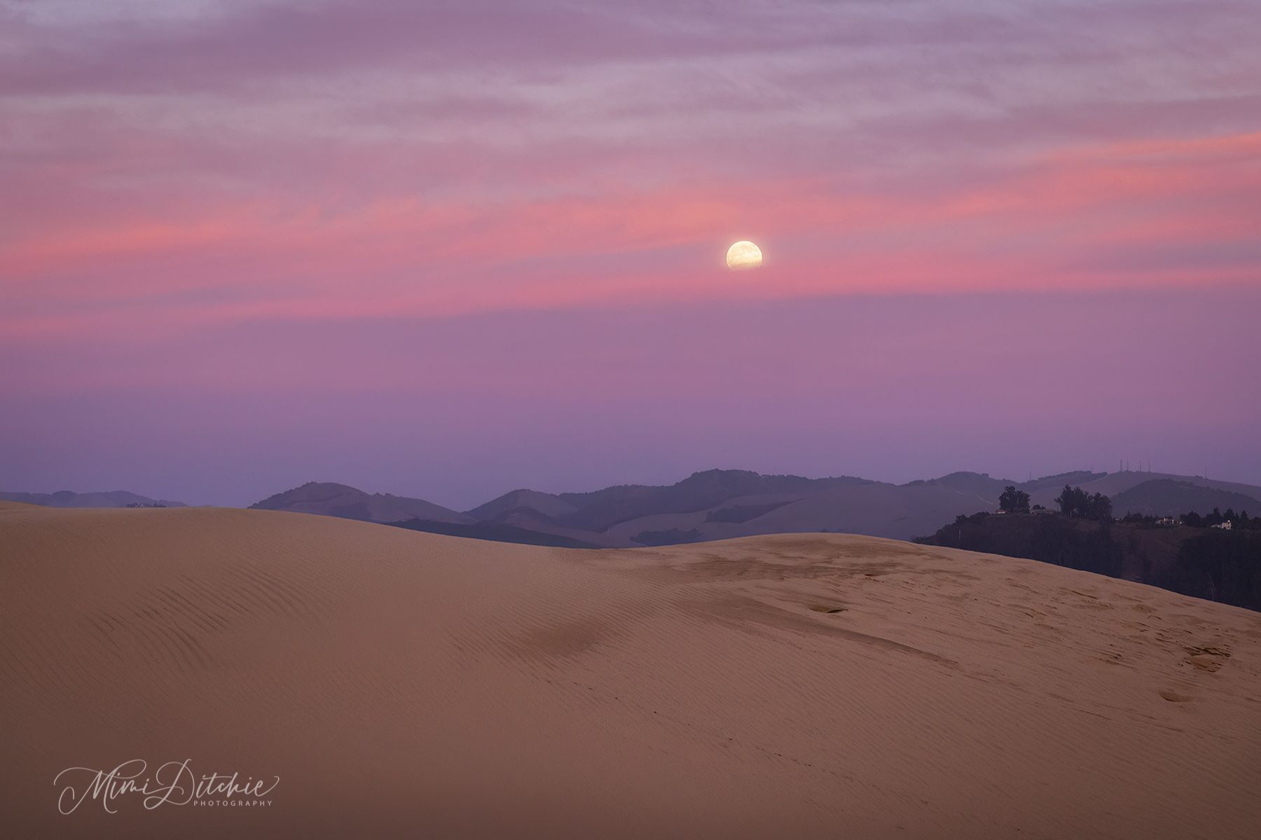 Community photo by Mimi Ditchie | Oceano, California, USA