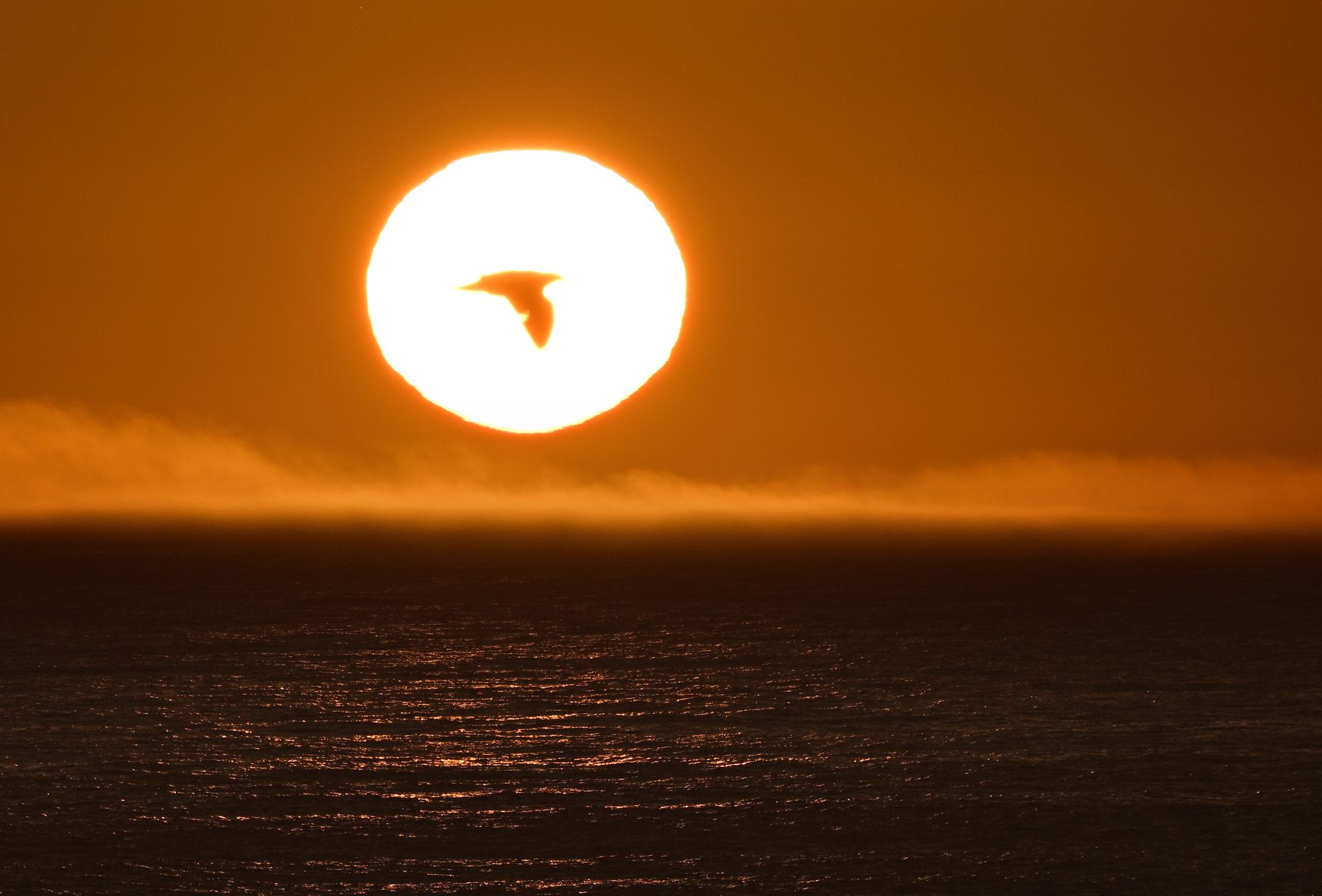 Community photo by Cecille Kennedy | Oregon Coast, Oregon