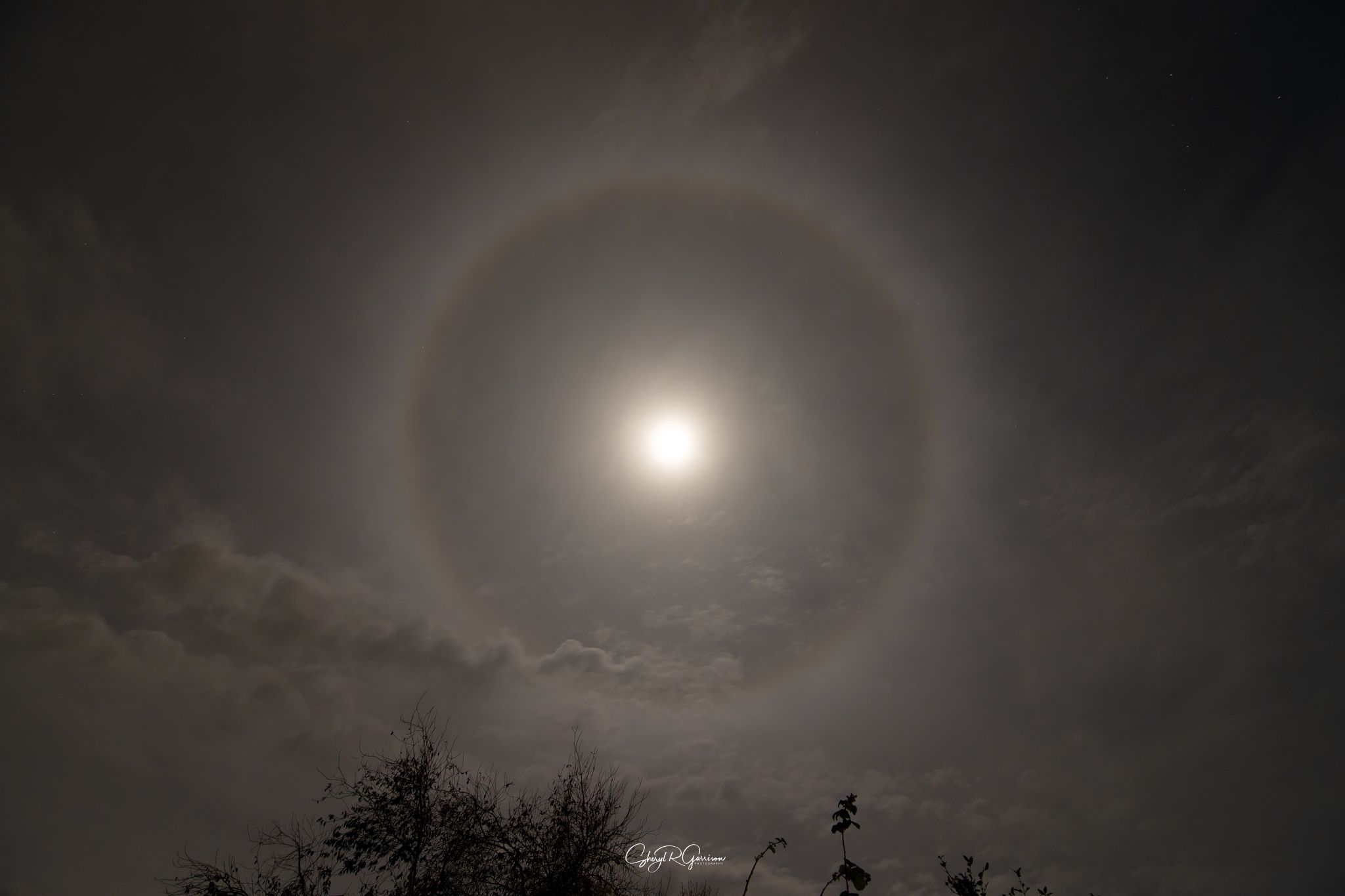 Community photo by Sheryl R Garrison | Southern Alberta, Canada